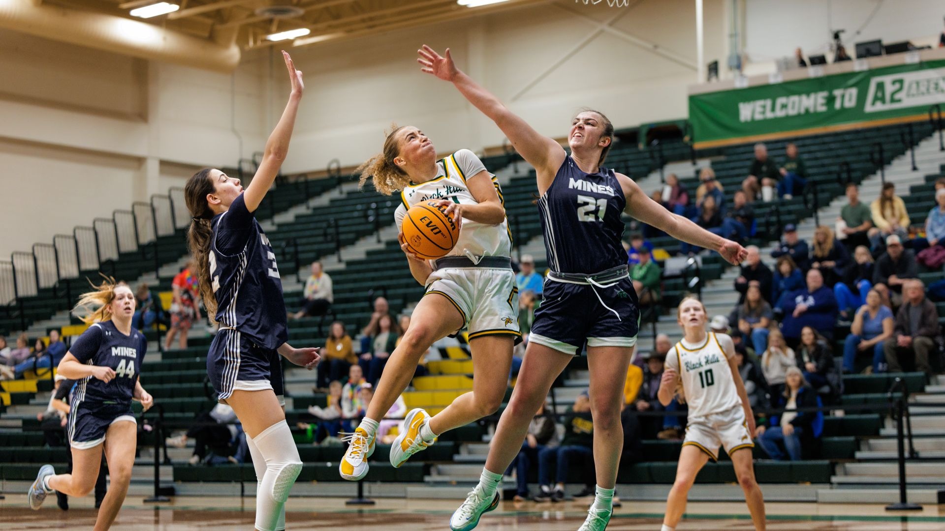 Brinlee McRae vs CSM