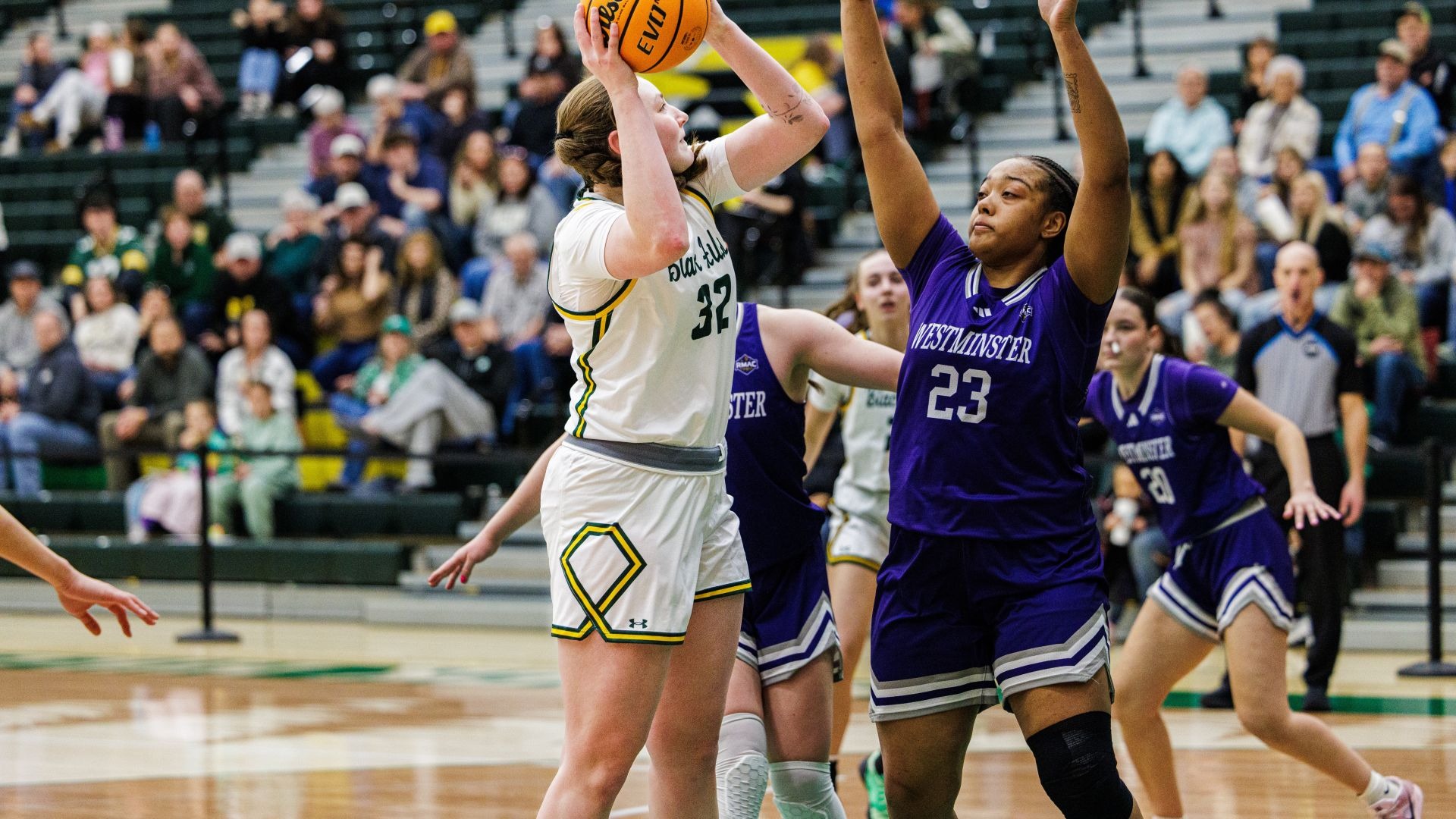 Taylin Serlen versus Westminster