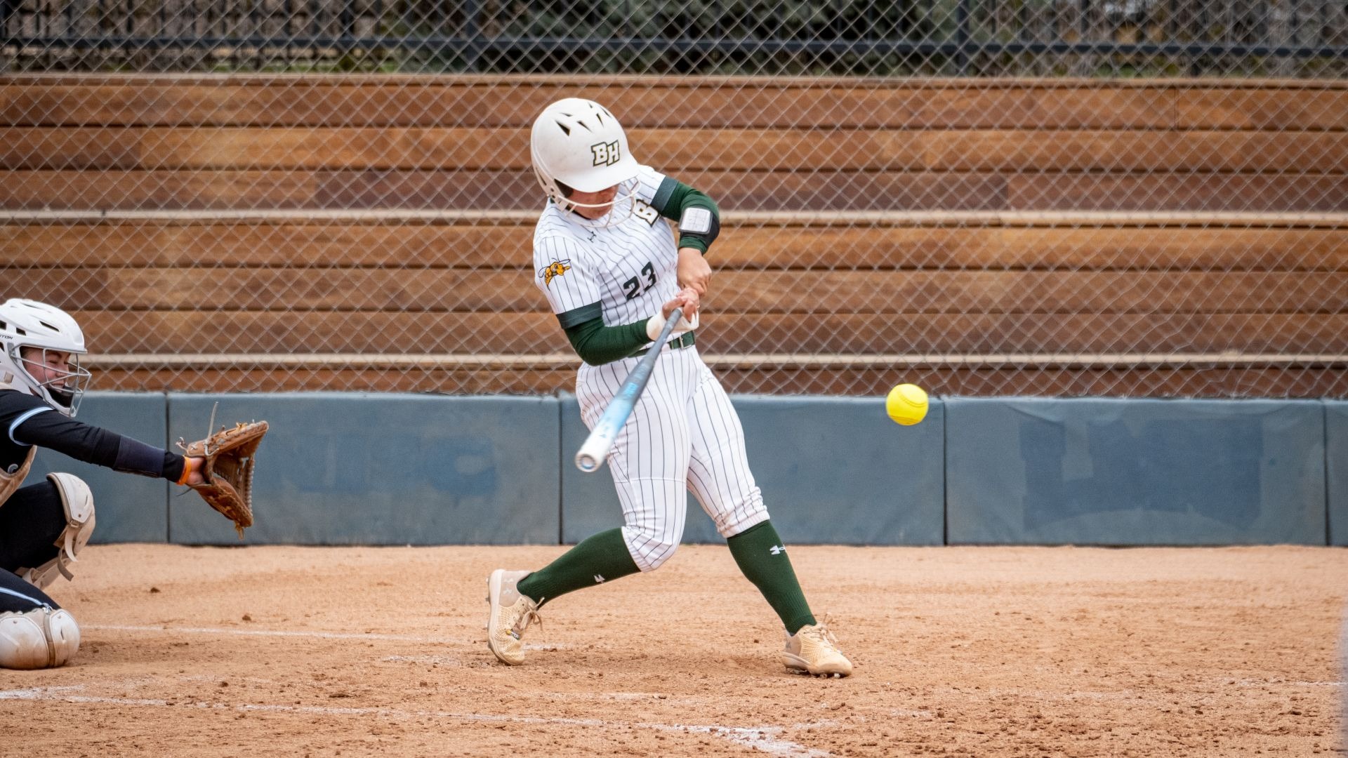 Desi Hernandez versus FLC