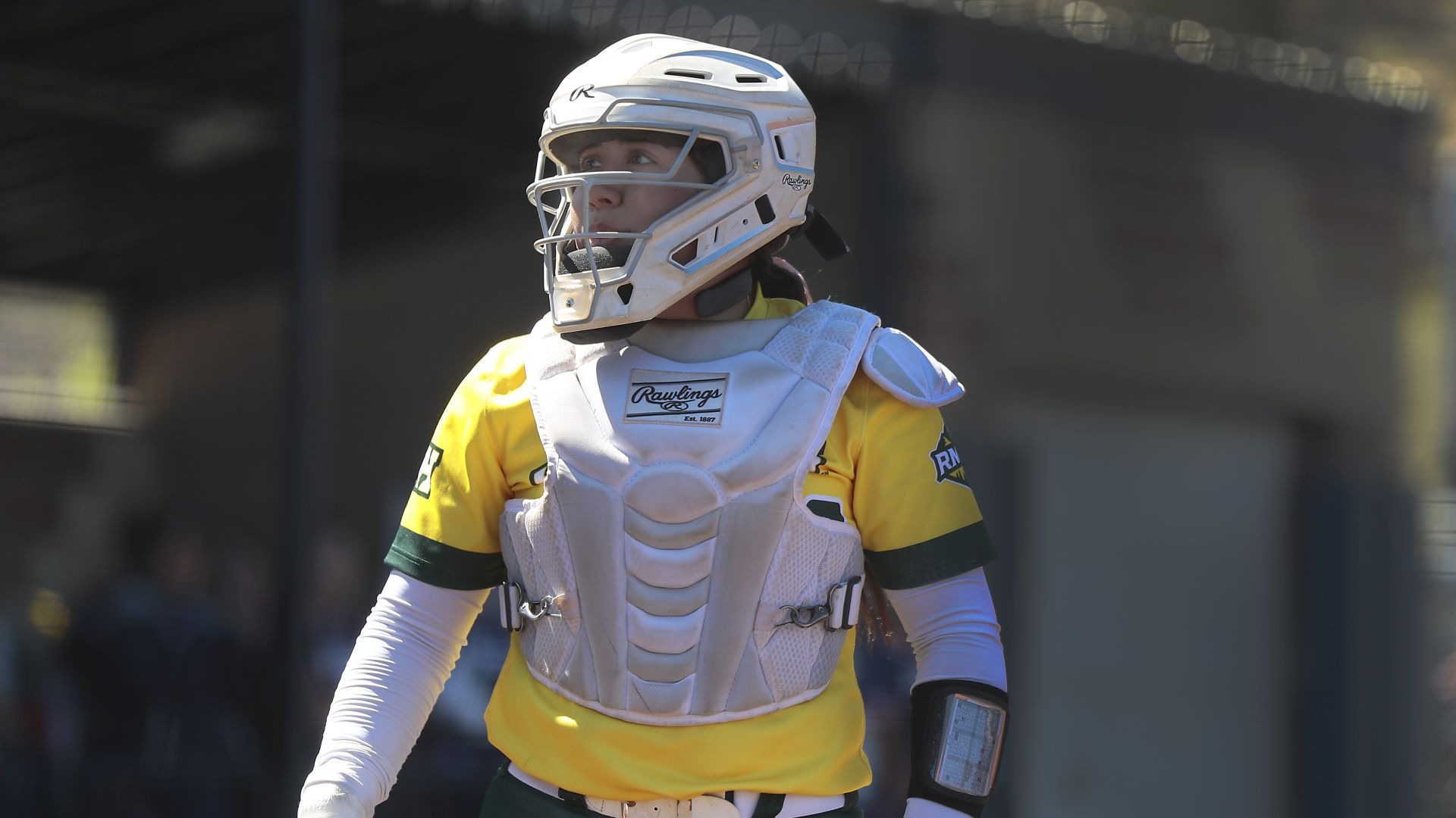 Desi Hernandez versus CSM