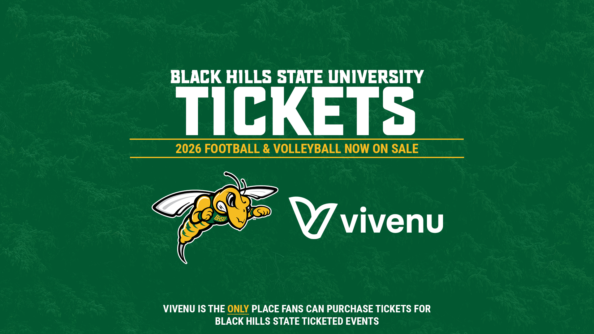 2026 All-Sports, Football, and Volleyball Tickets Graphic - Vivenu Announcement