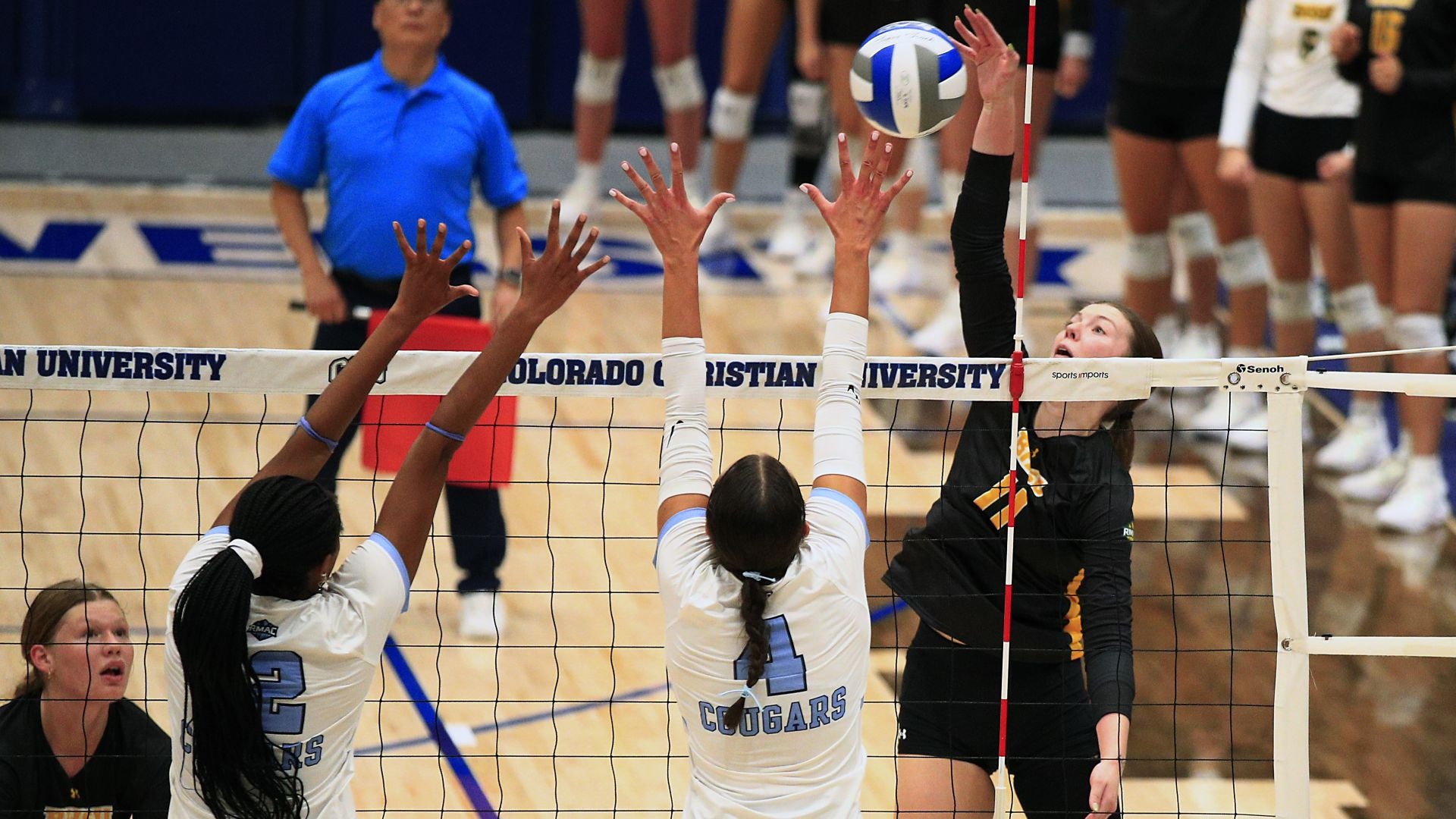 Izzy Saiki versus CCU