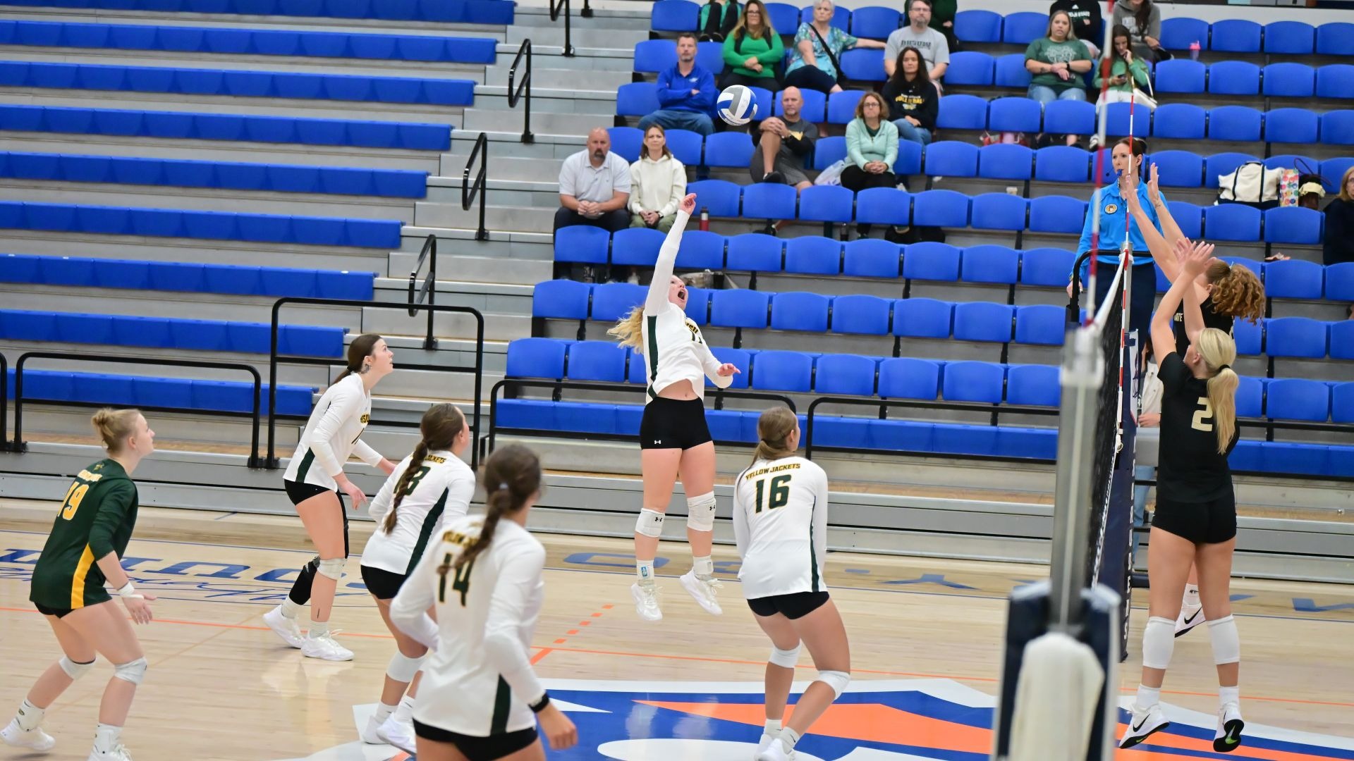 Zoie Husman vs BSU