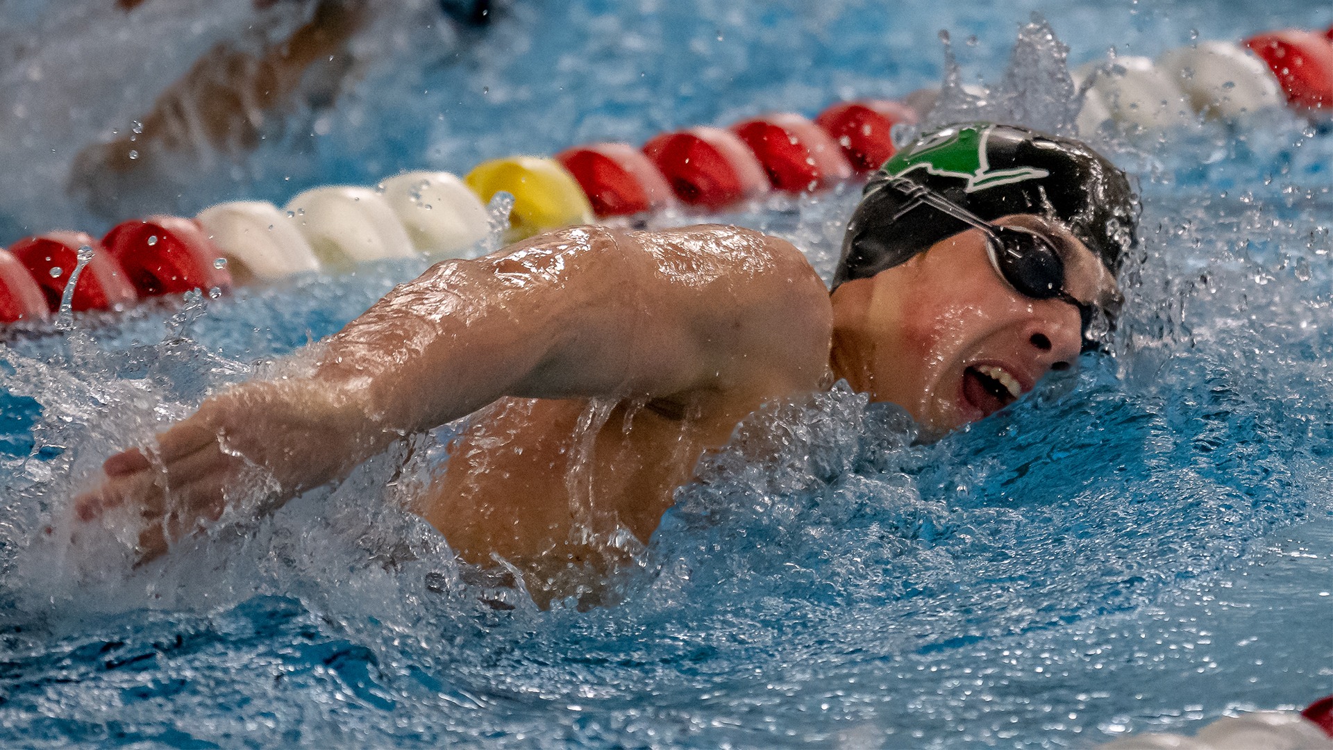 Liam Preston Men's Swimming and Diving Binghamton University Athletics