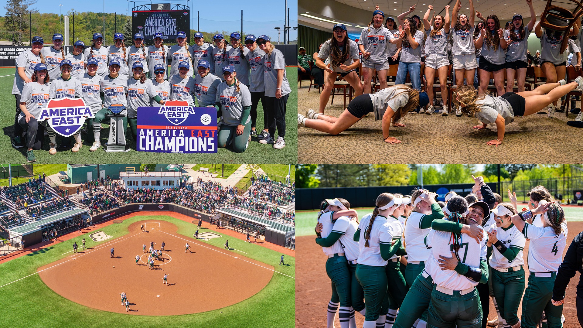 The Perfect Day Collage 