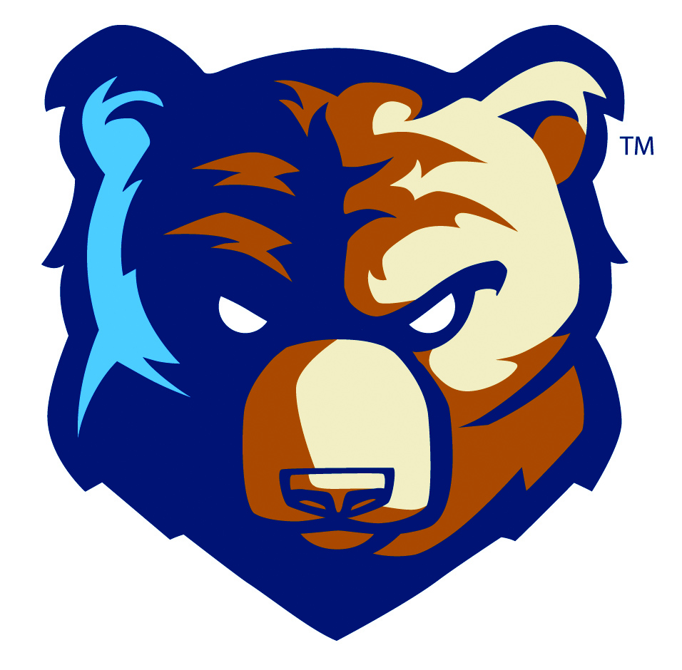 bruins head logo