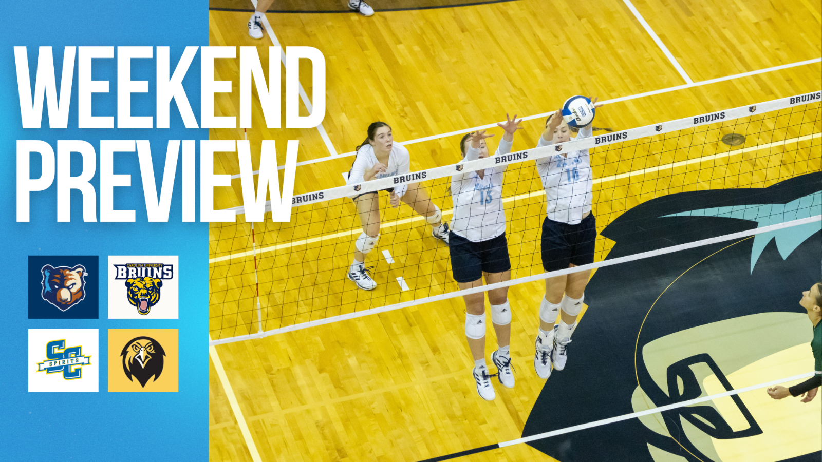 Volleyball Team Split Trimatch in North Carolina Bob Jones University