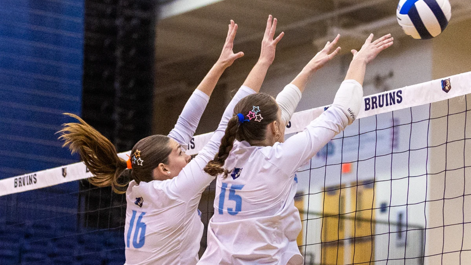 Two Bruins volleyball players in white shirts blocking the volleyball at the net