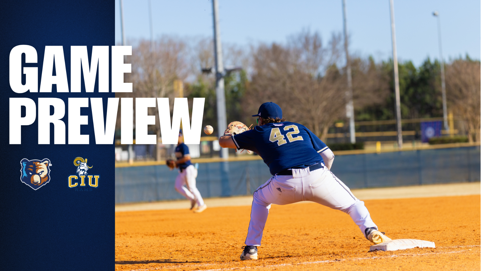 bju ciu baseball preview