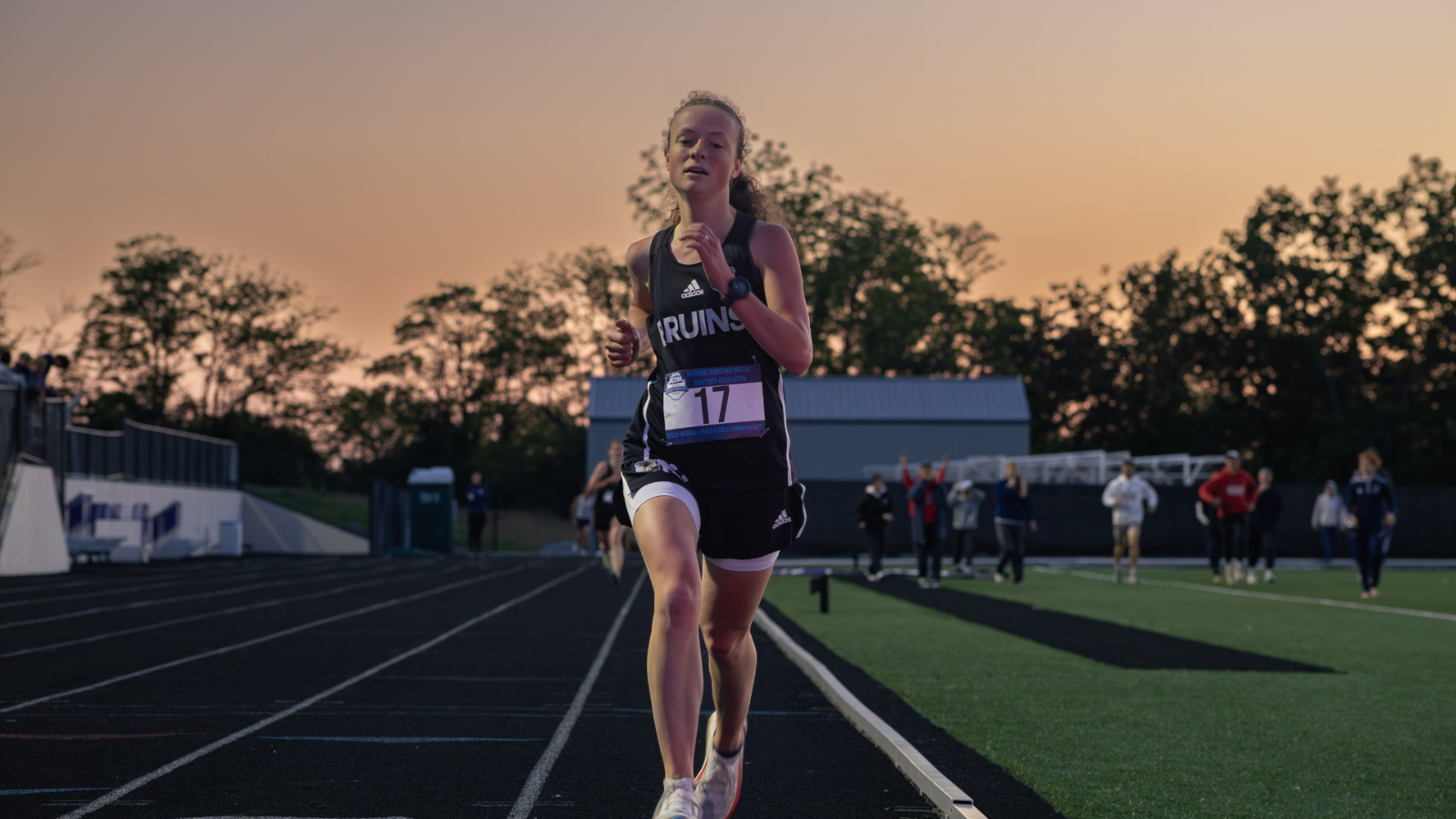 lauren all american