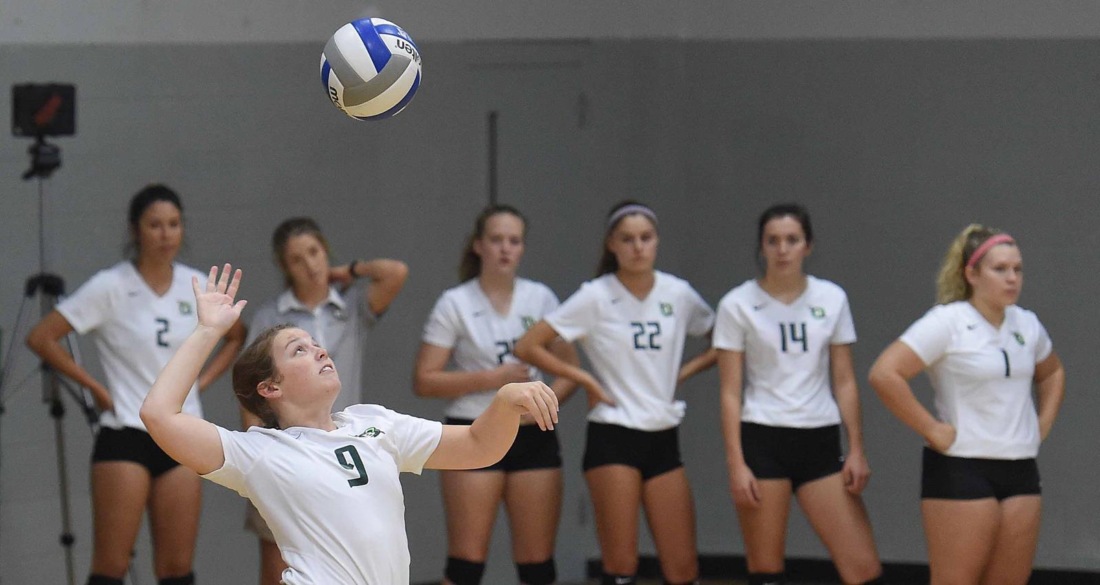 Volleyball Falls at 6 UTDallas Belhaven University Athletics