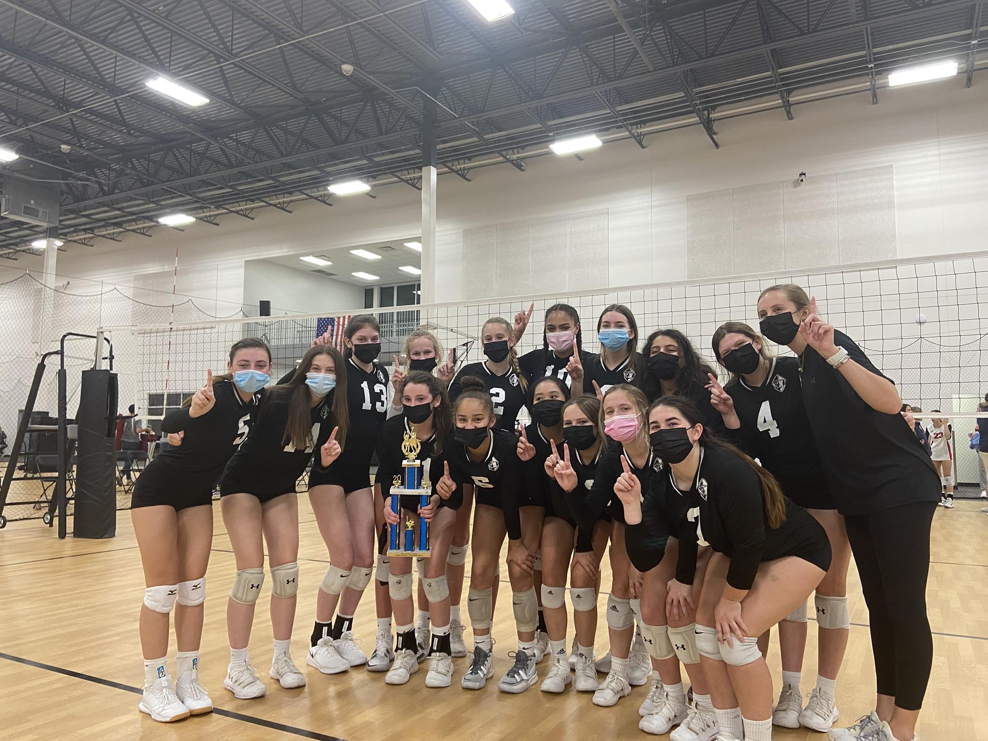 Volleyball