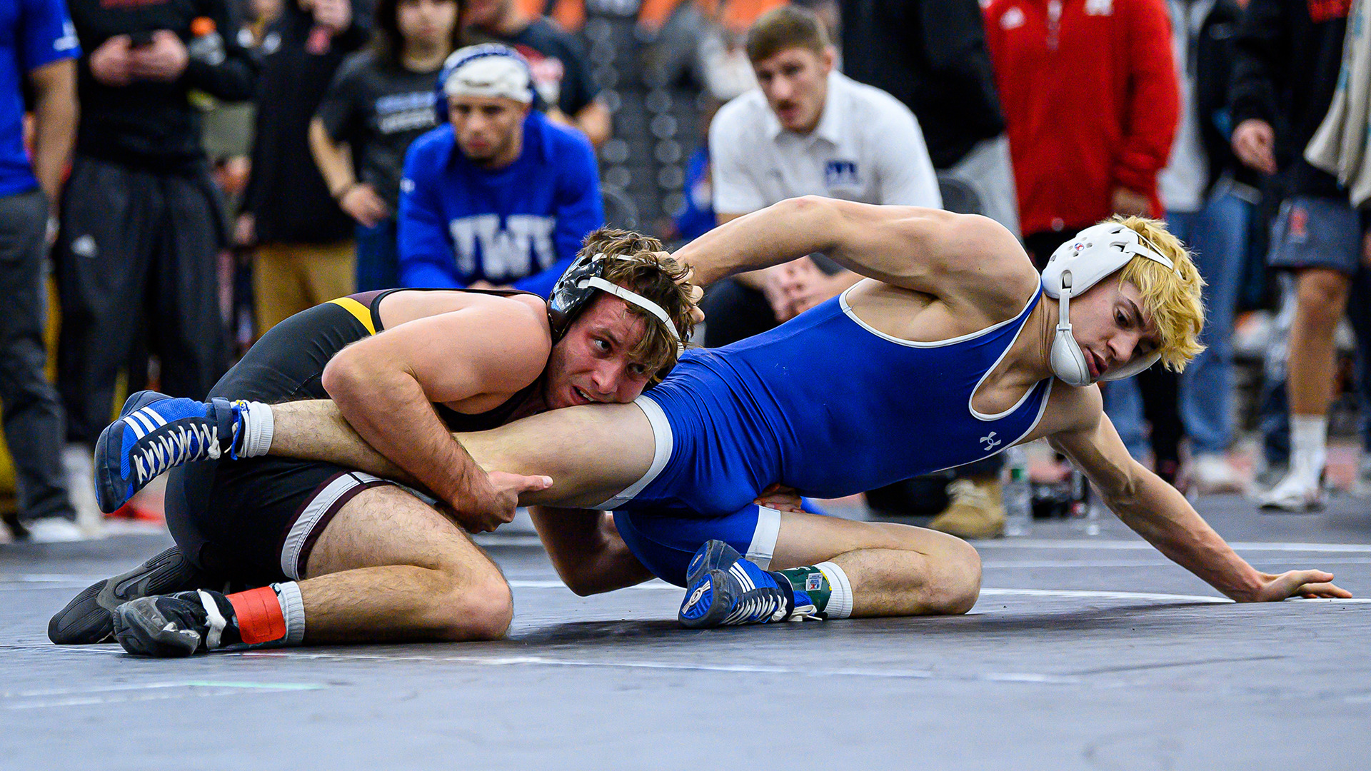 Wrestling Drops Pair of Matches at Bucknell Bloomsburg Athletics
