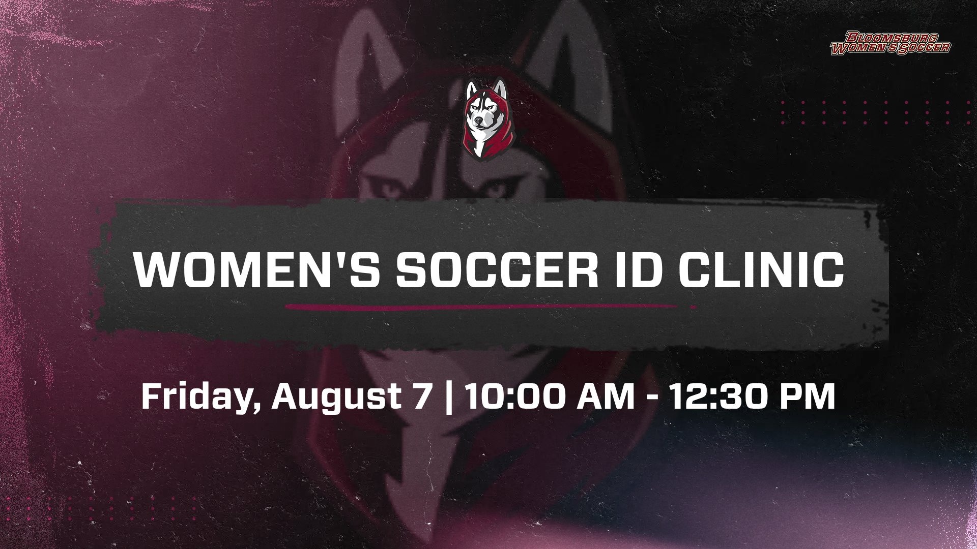 wsoc id clinic 080726