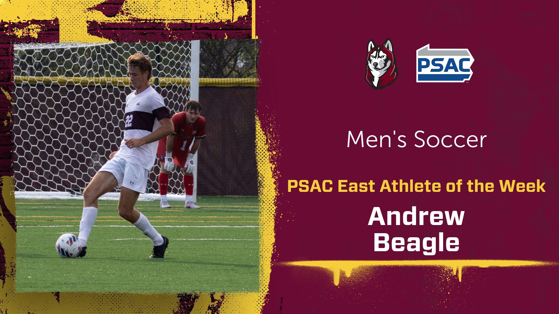 Beagle PSAC AOT