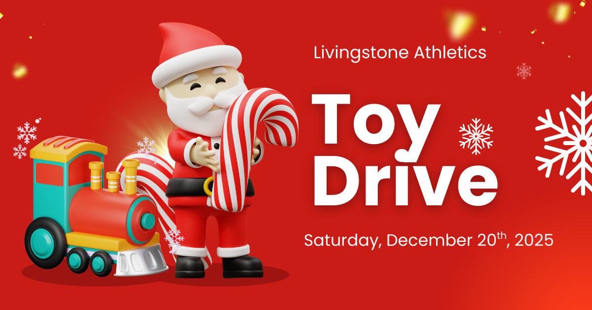 toy drive 2