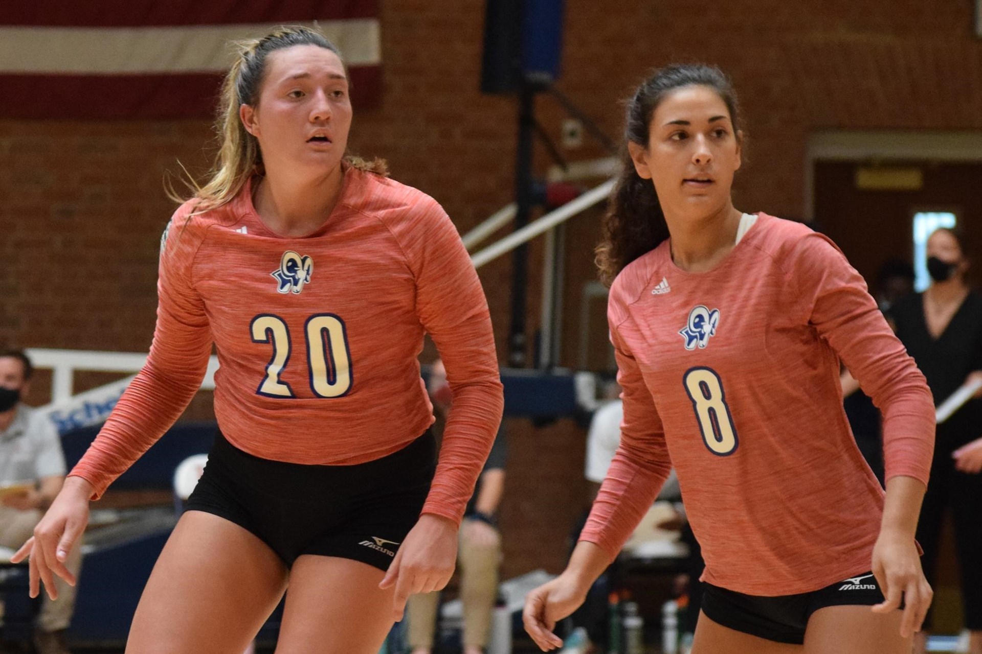 Lauren Sotomayor Women's Volleyball Bluefield University Athletics