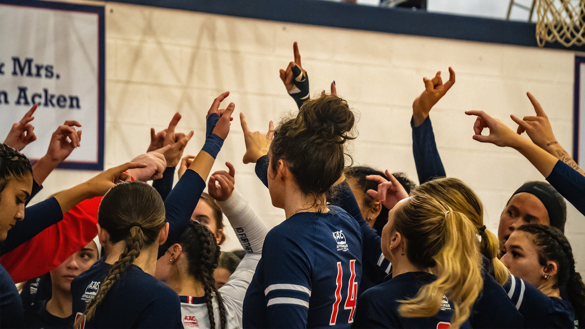 WVB Preseason Release 2025