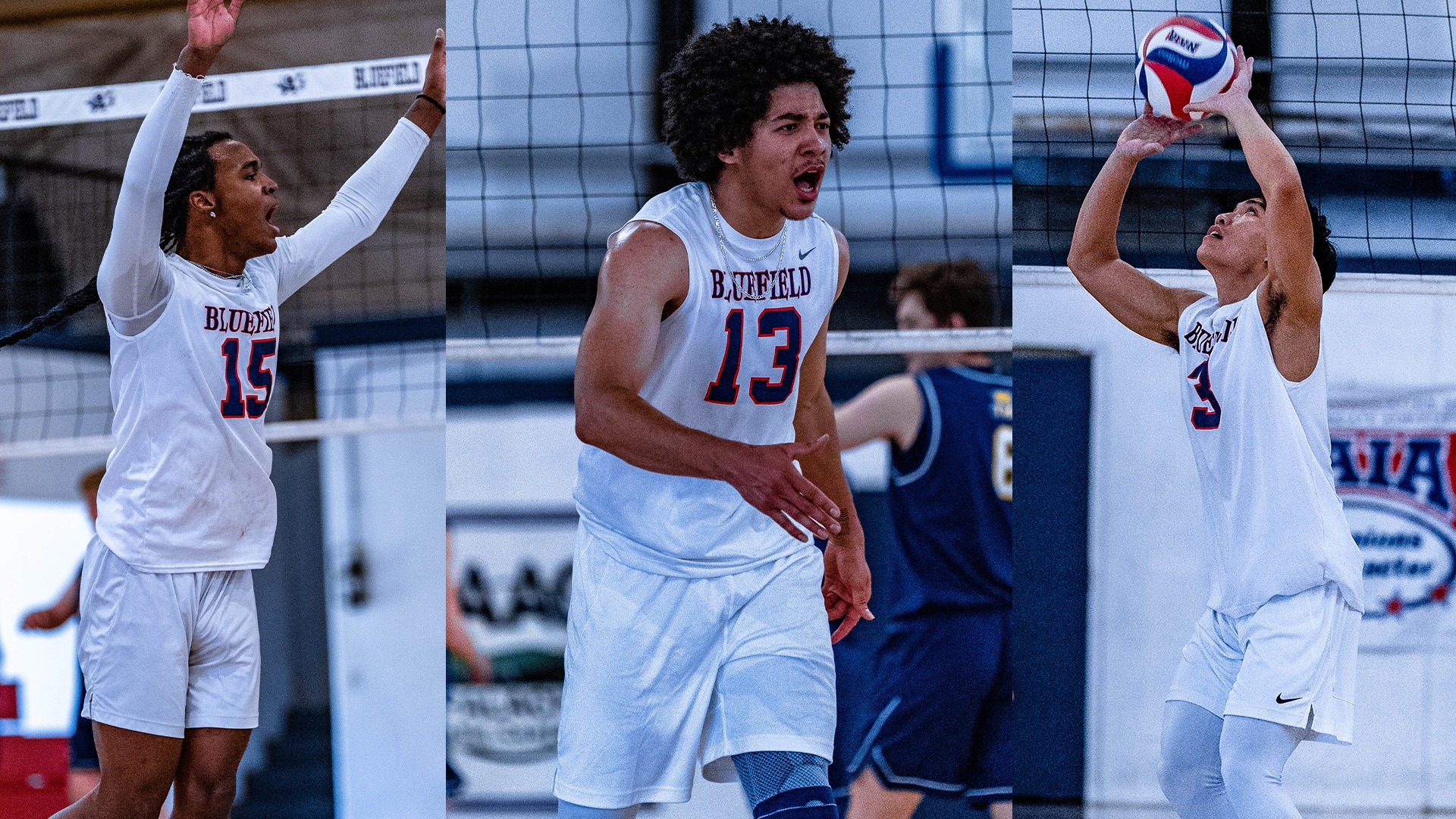 MVB All-AAC
