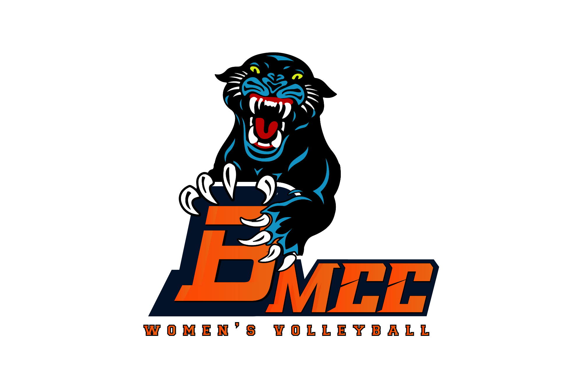 WVB Logo