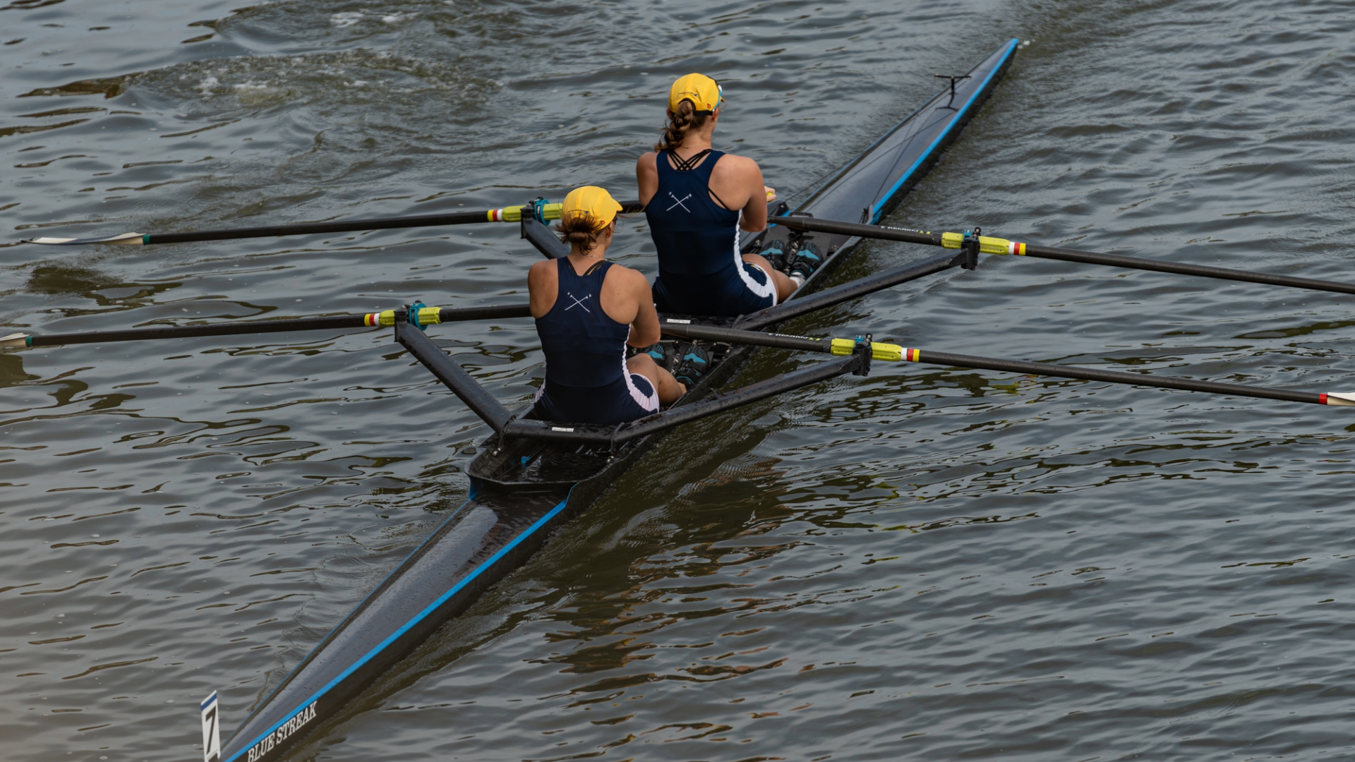 Head of the Fish WROW