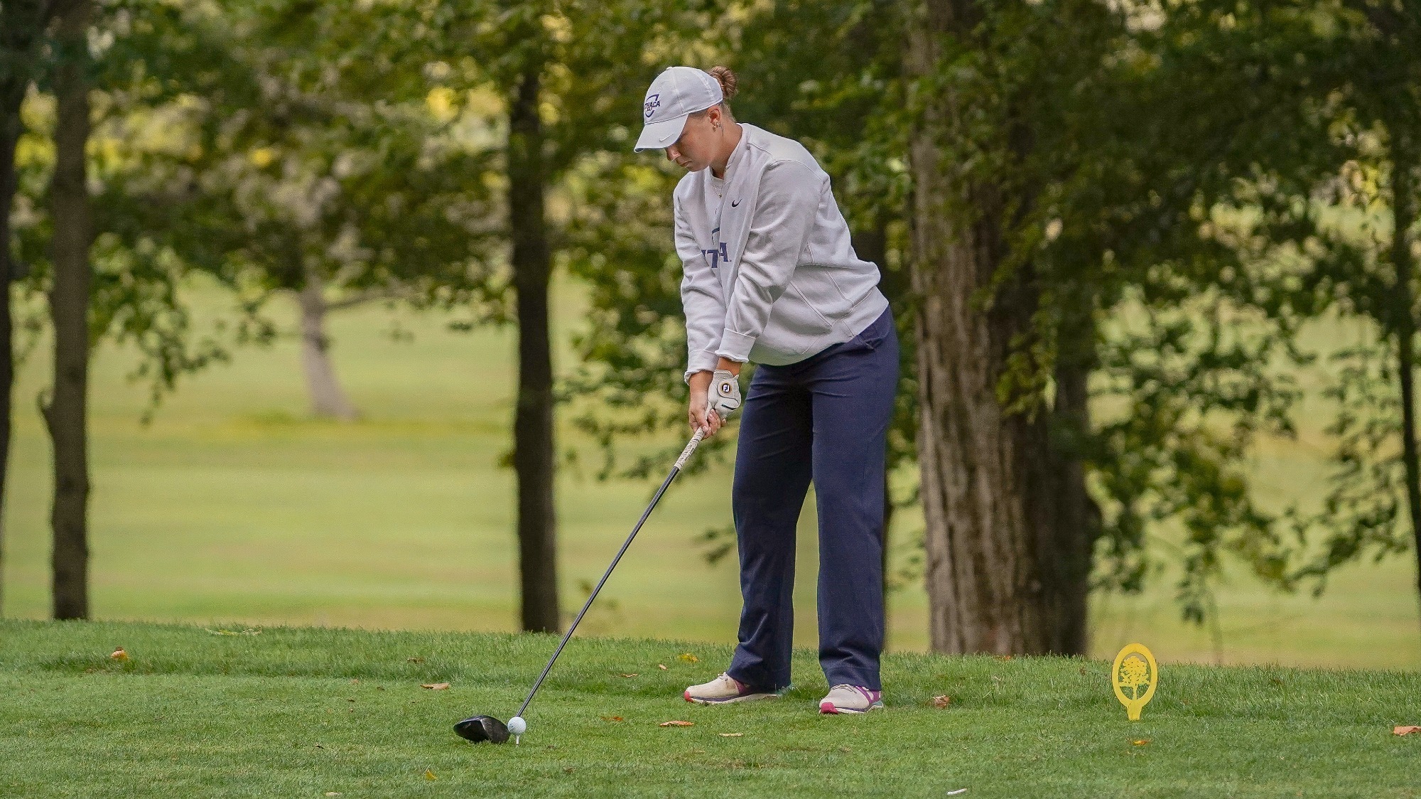 Winterberg Hamilton action 2025