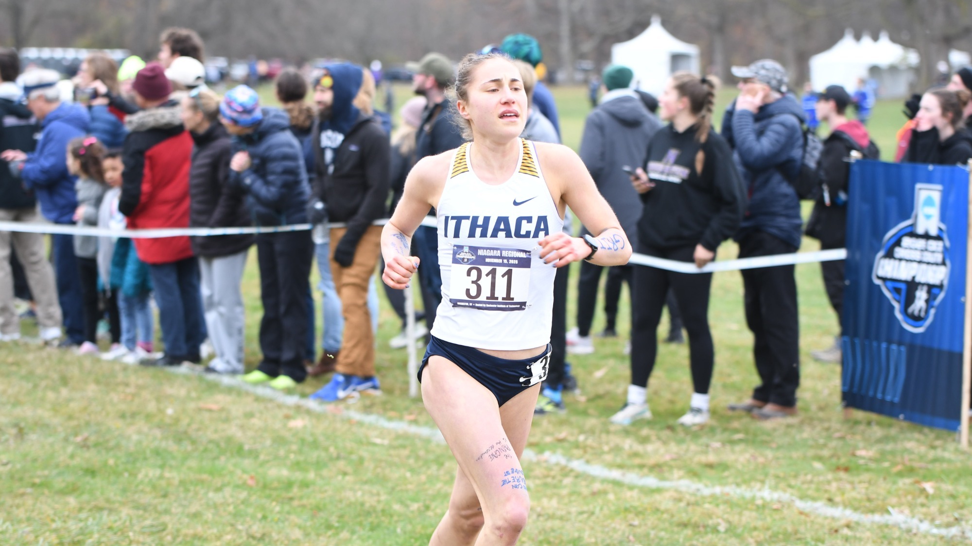 RIT hosted the NCAA DIII Cross Country Niagara Regional Championships at Genesee Valley Park on Saturday, November 15, 2025. (Elizabeth Robertson/RIT Athletics) 