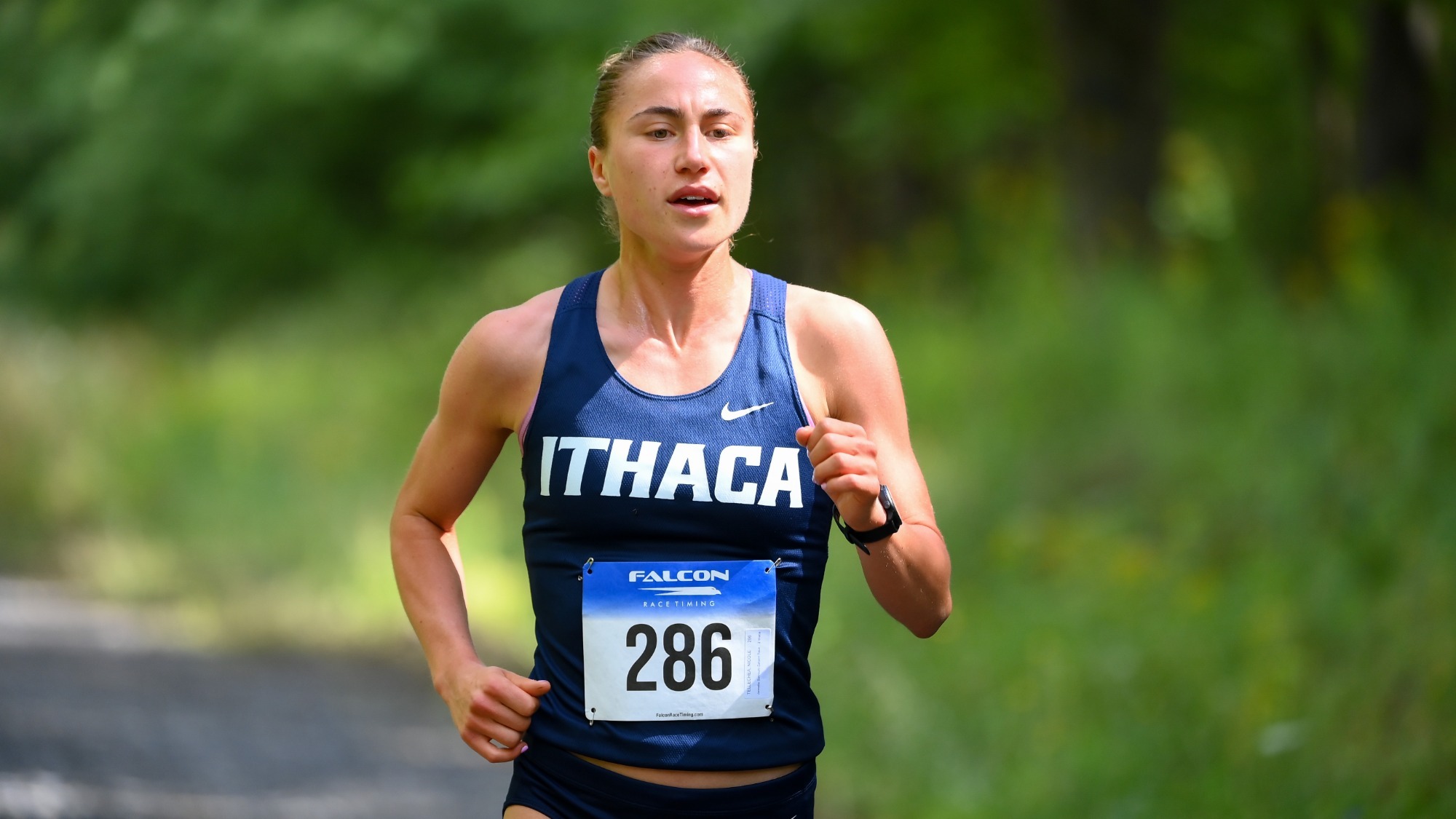 gitlin LL ROY XC 2025