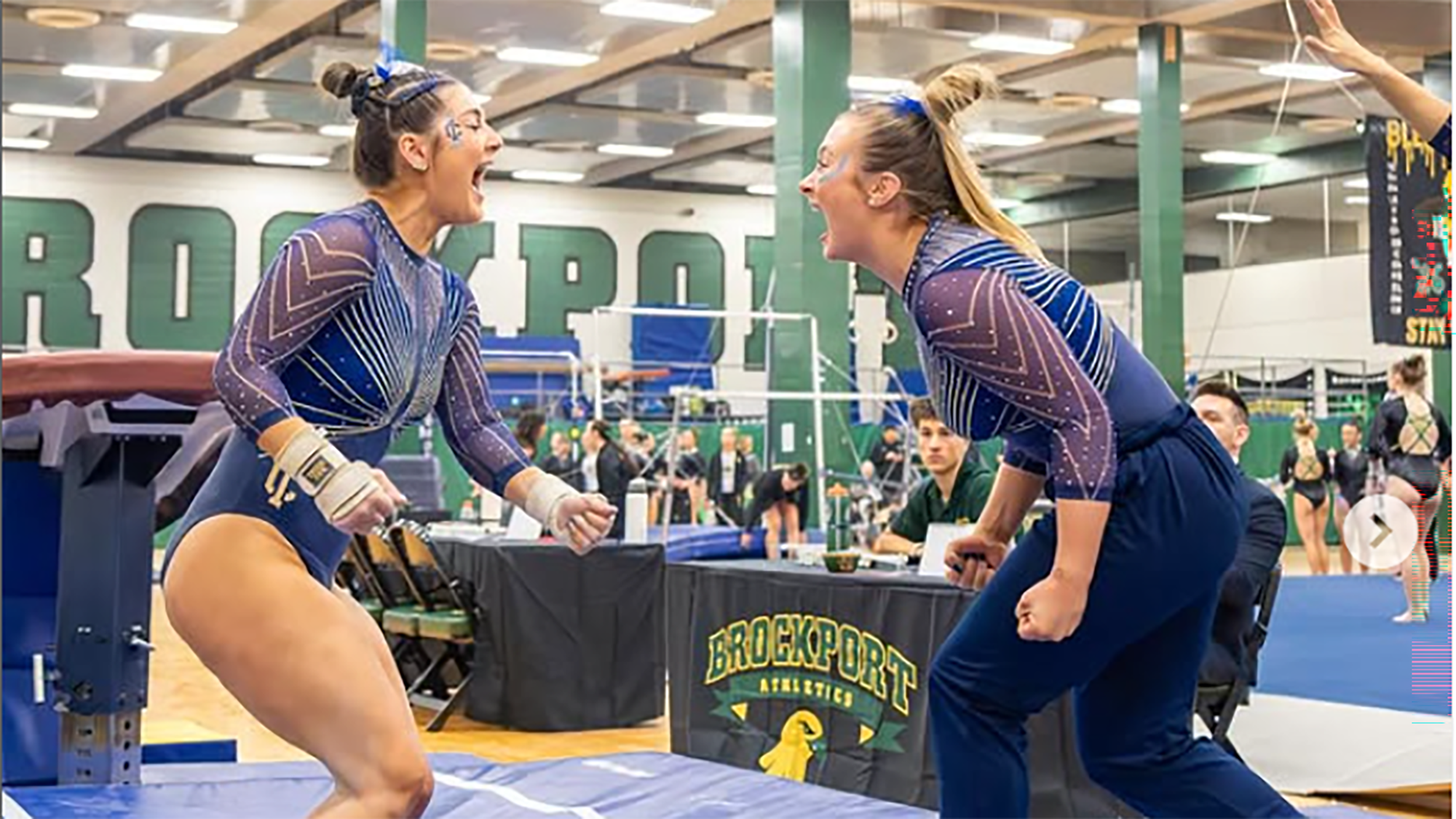 murray record vault 2026