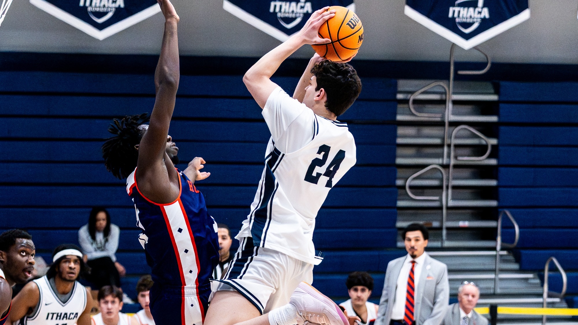 yoav regev action hobart 2026