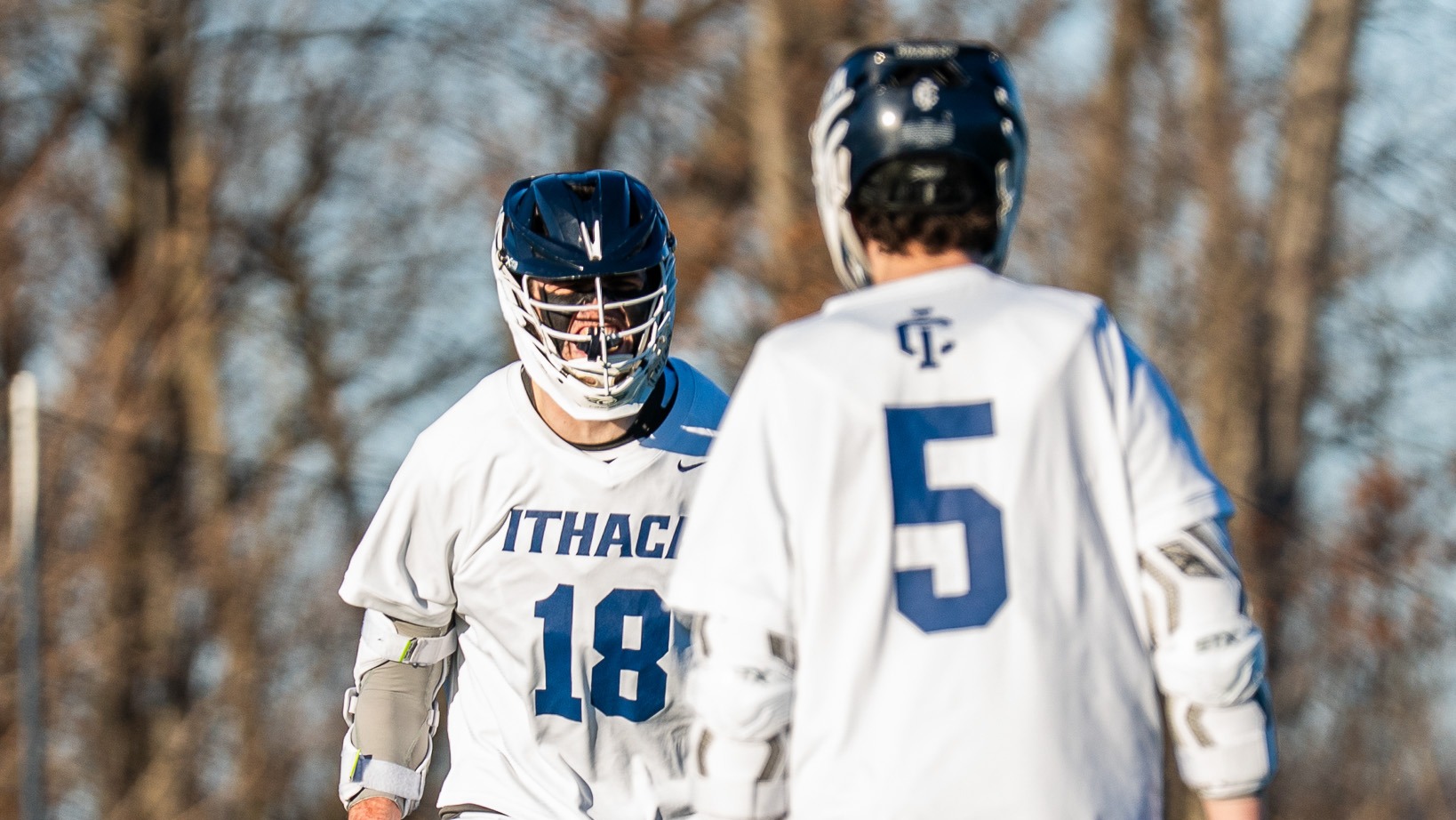 Tim Rogers and Will Kleine