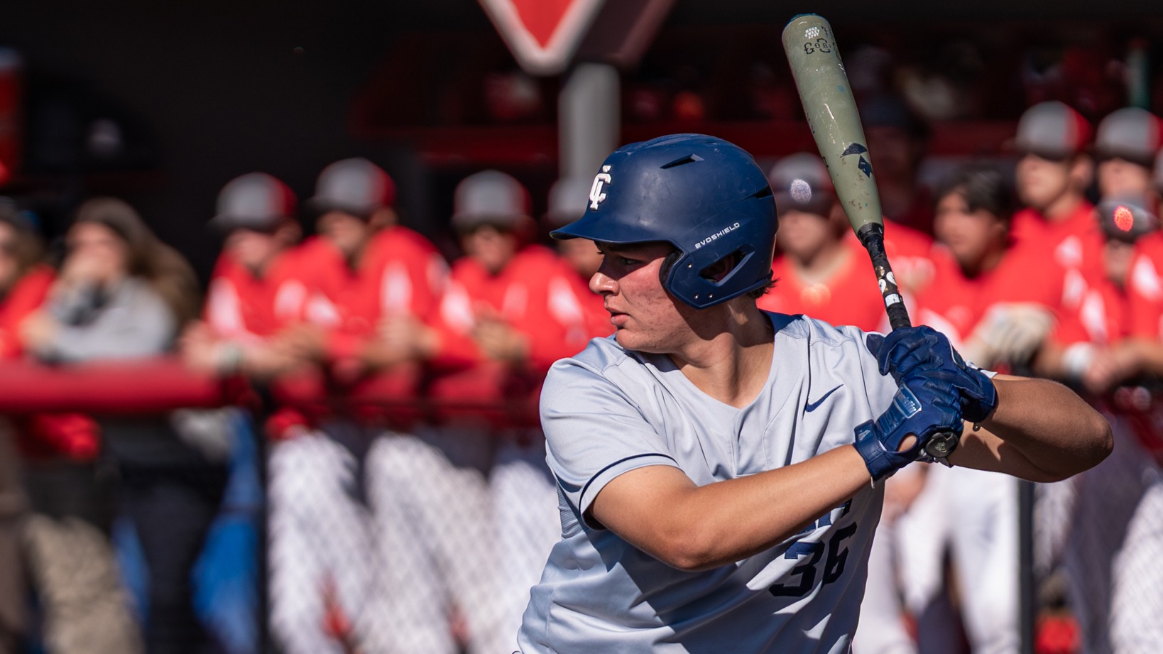 fantel action 2026 vs. wash coll