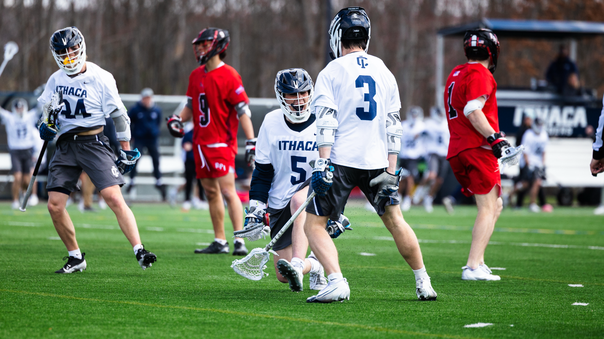 Ithaca Men's Lacrosse Takes Down RPI