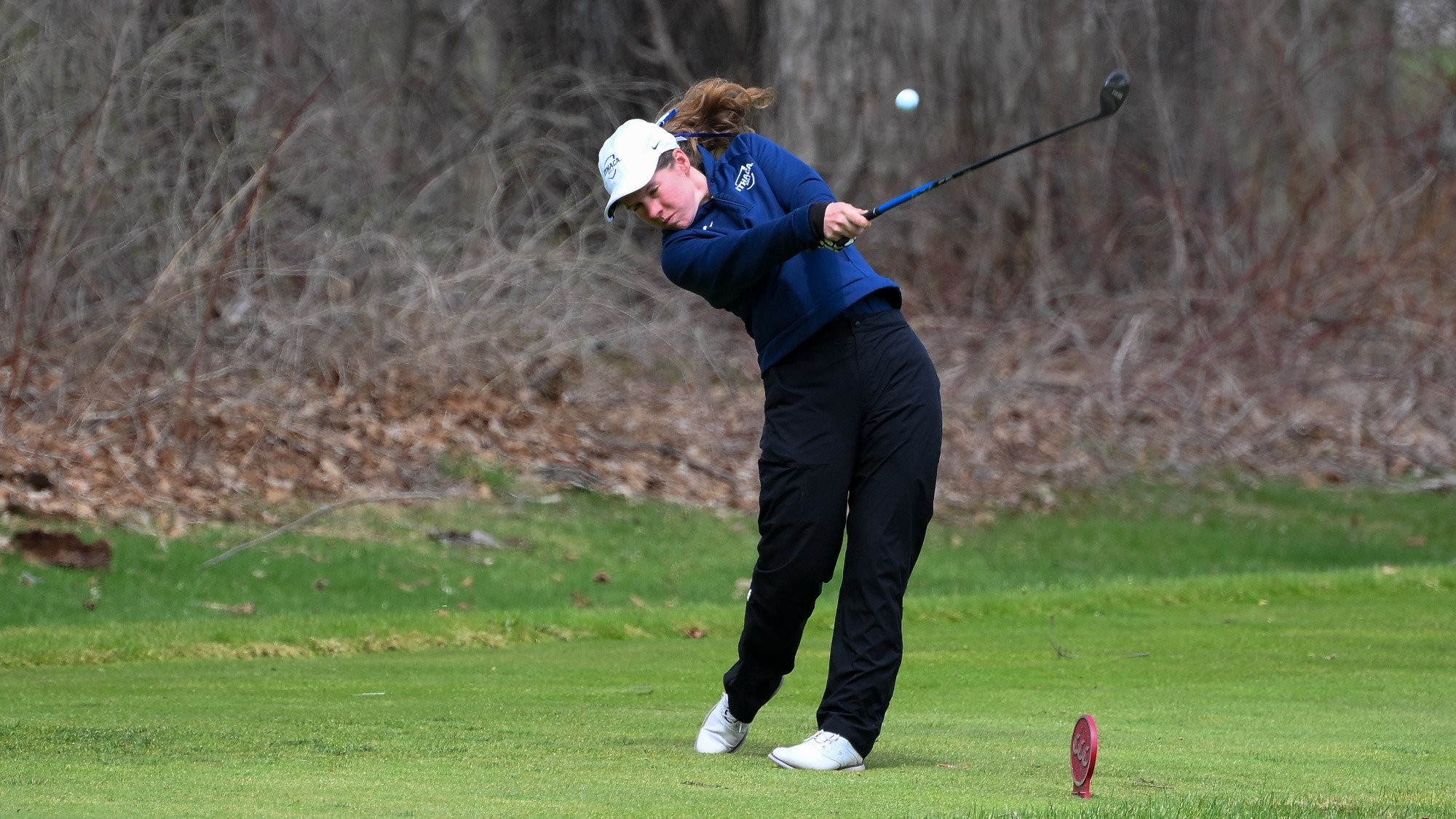 annelise stencel action cortland 2026