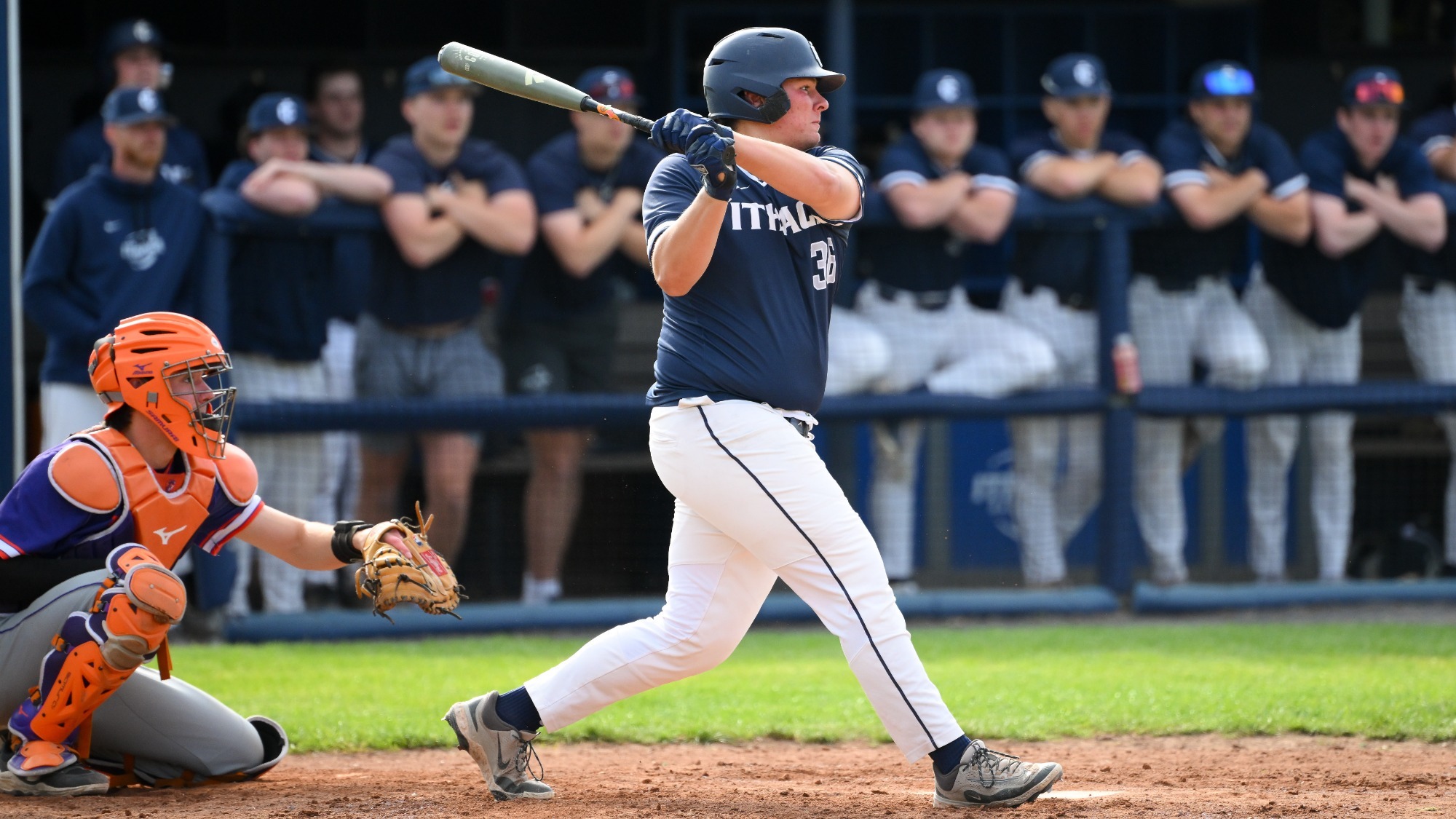 fantel action hobart 2026