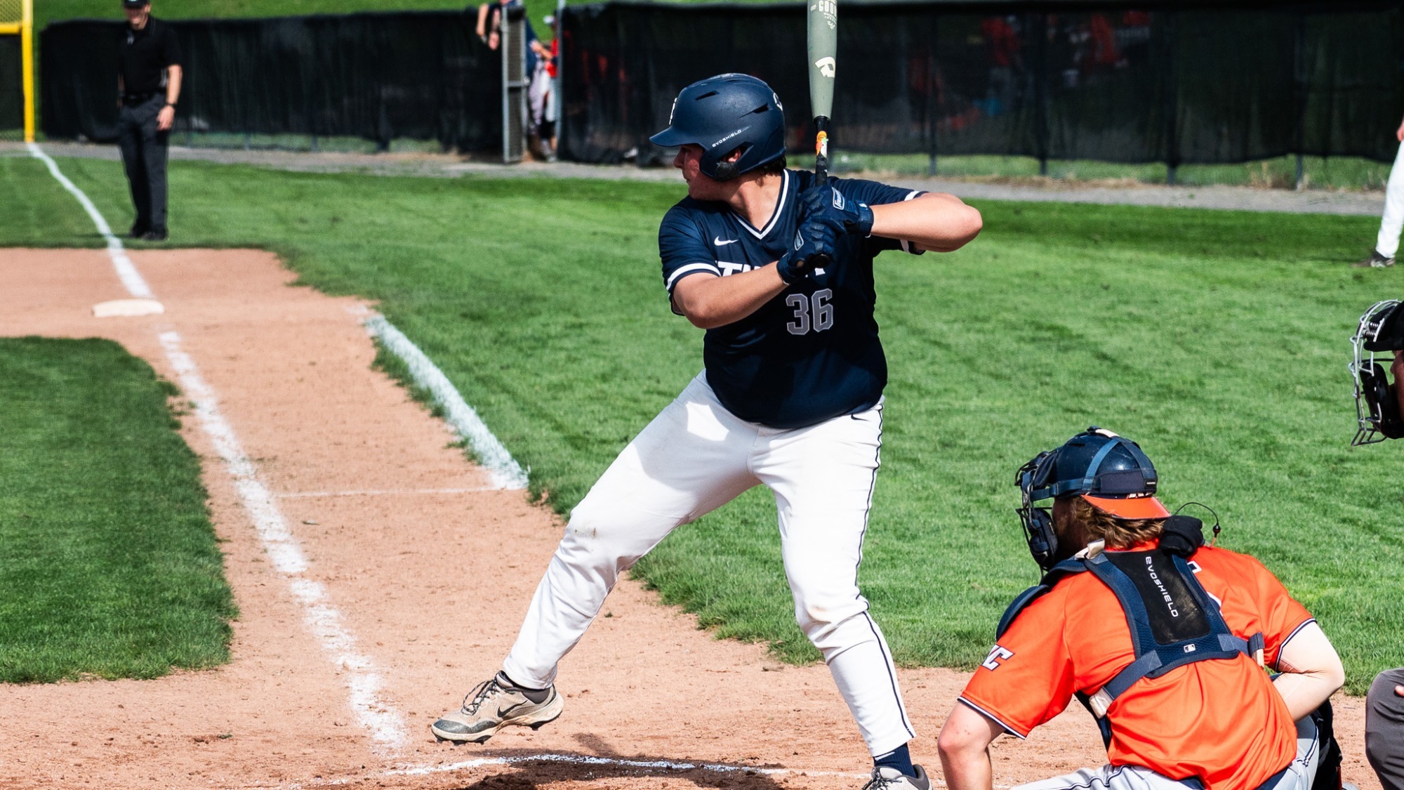 ethan fantel action AA d3b 2026