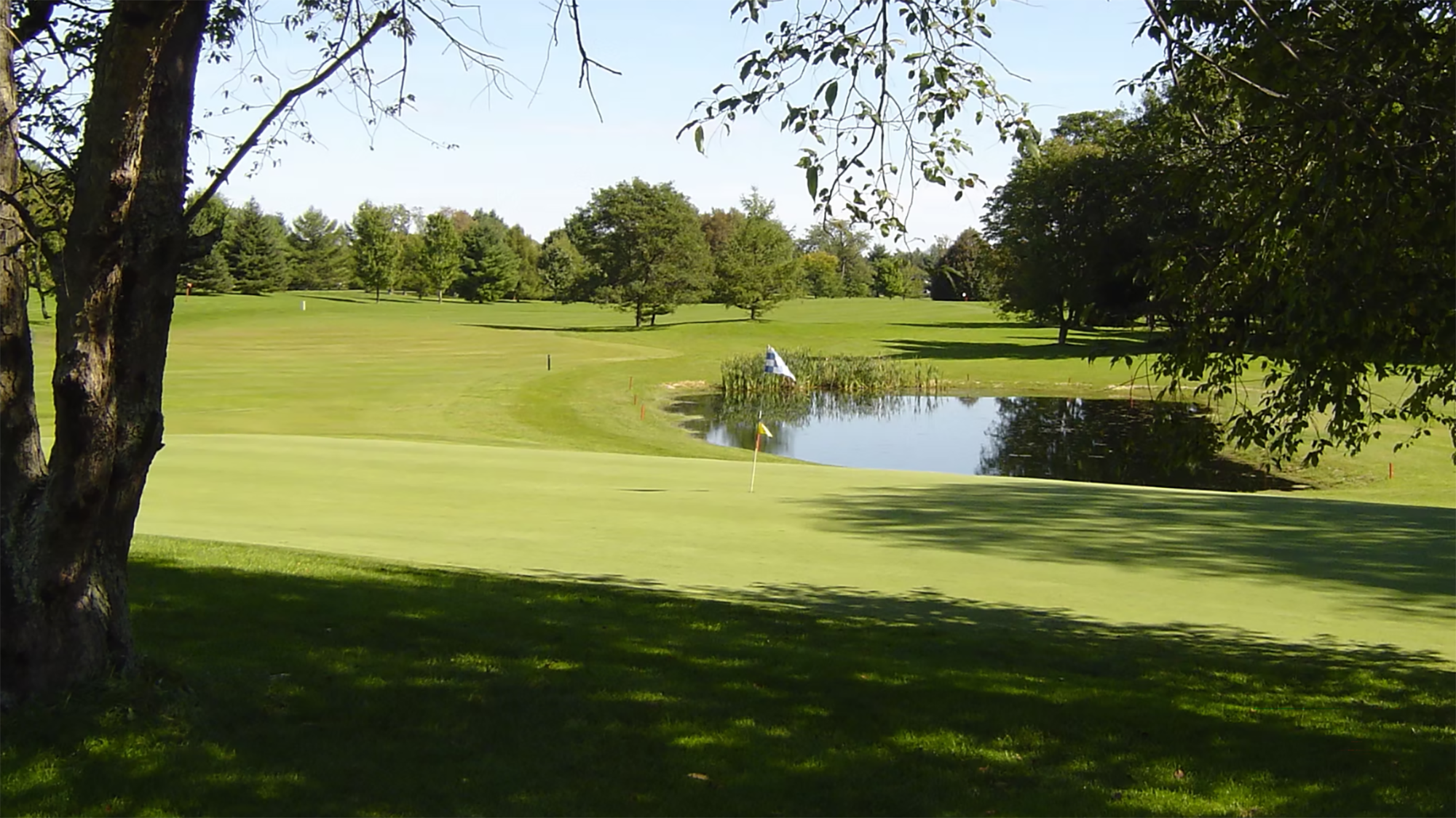 tburg golf course