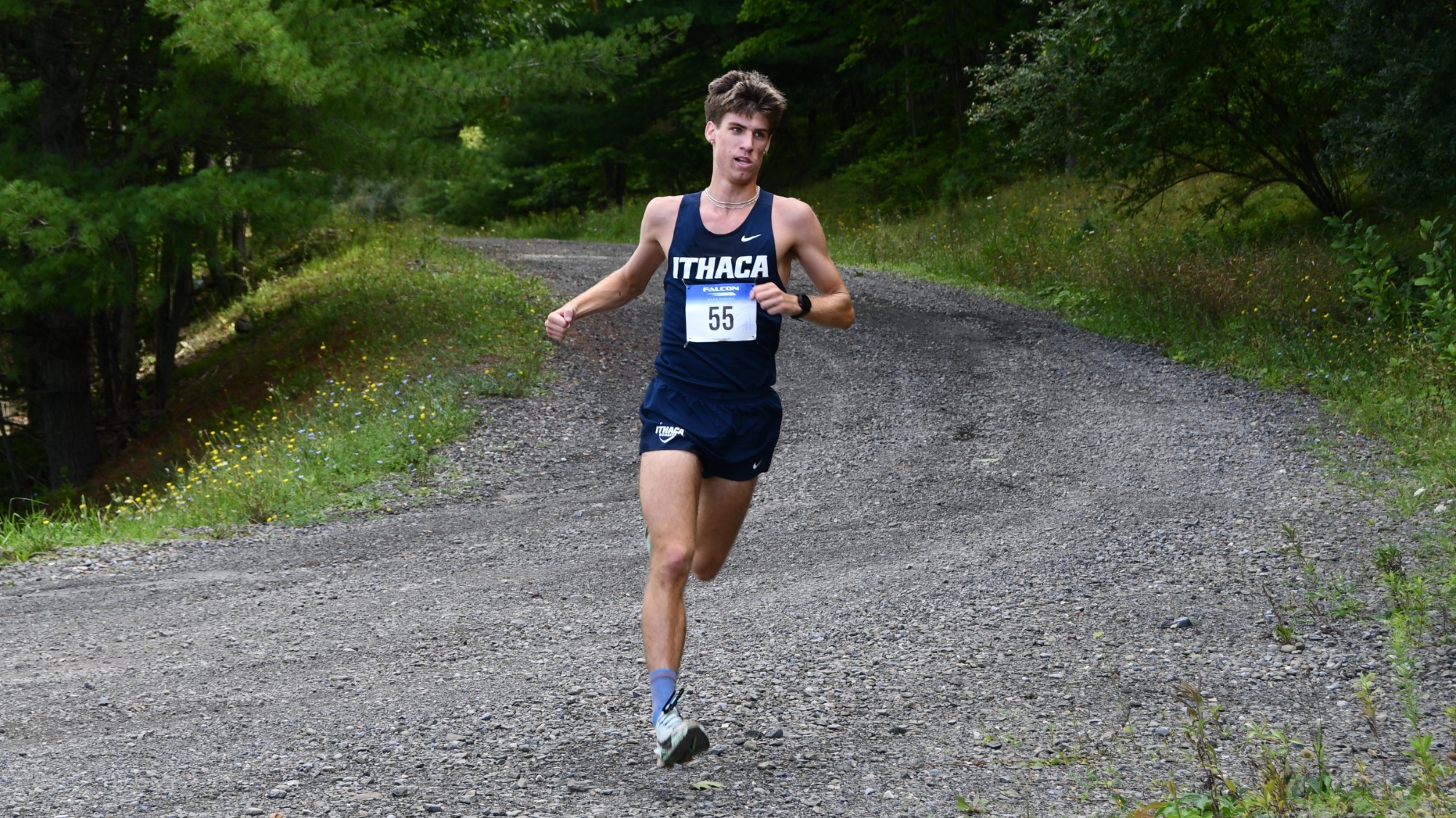lupes action 2026 xc