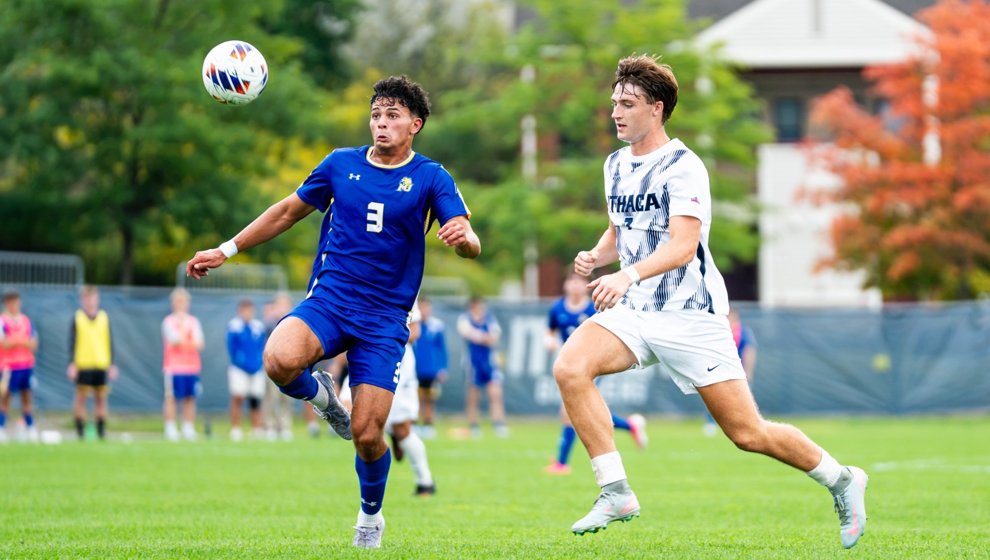 Carney vs Misericordia player