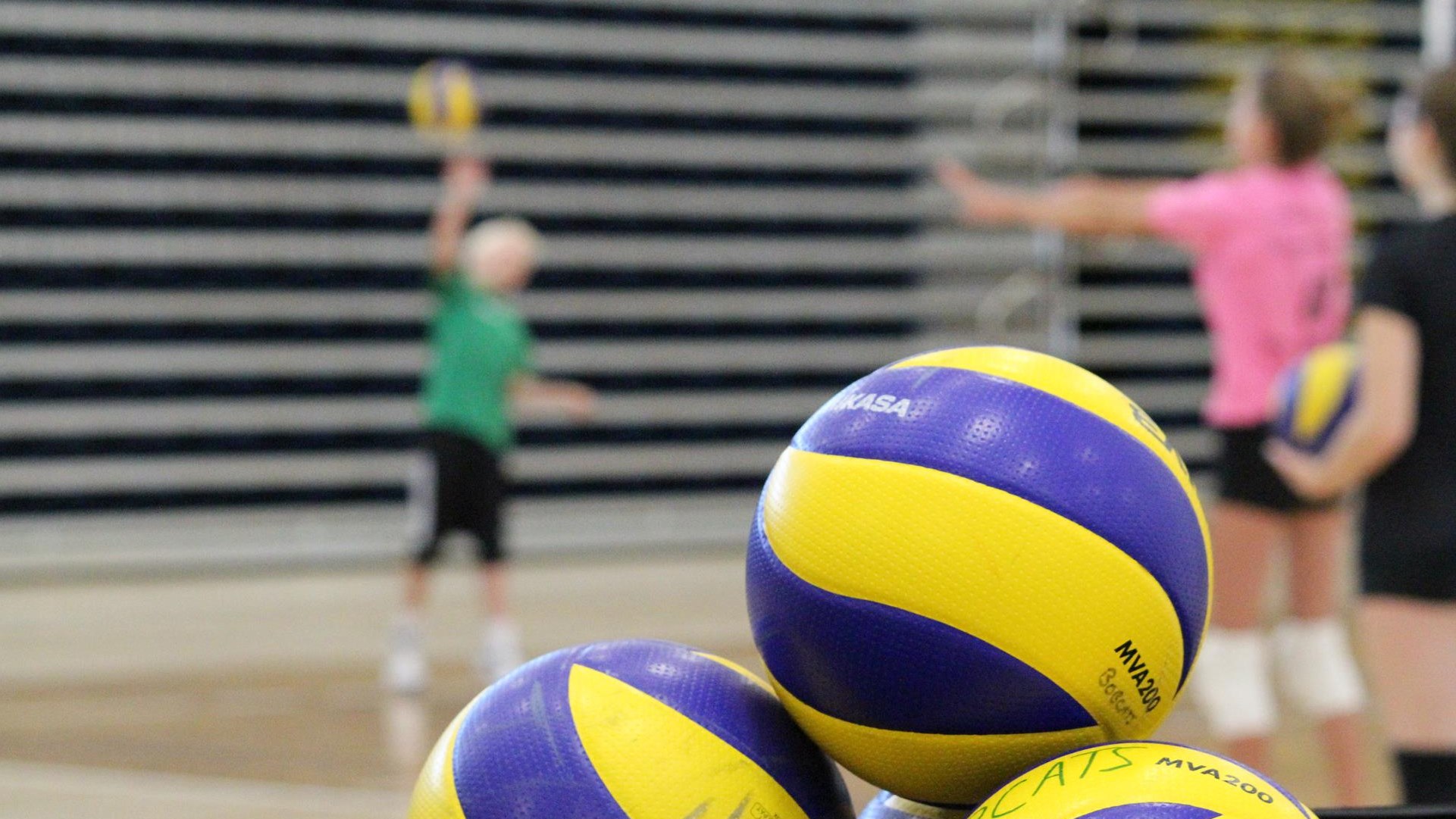 Mini Cats Volleyball Brandon University Recreation and Facilities