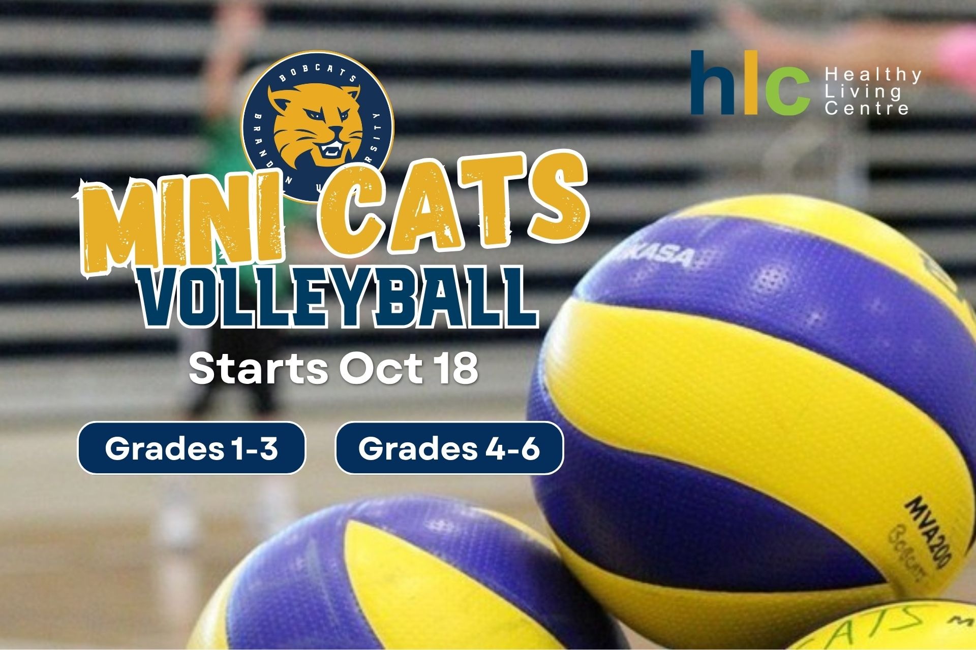 The Bobcats Mini Cats Volleyball is set to return to the HLC programming in Oct 18 for grades 1-3 and 4-6. Grade 1-3 play each sunday at 3, and grade 4-6 play at 4 immediately after.