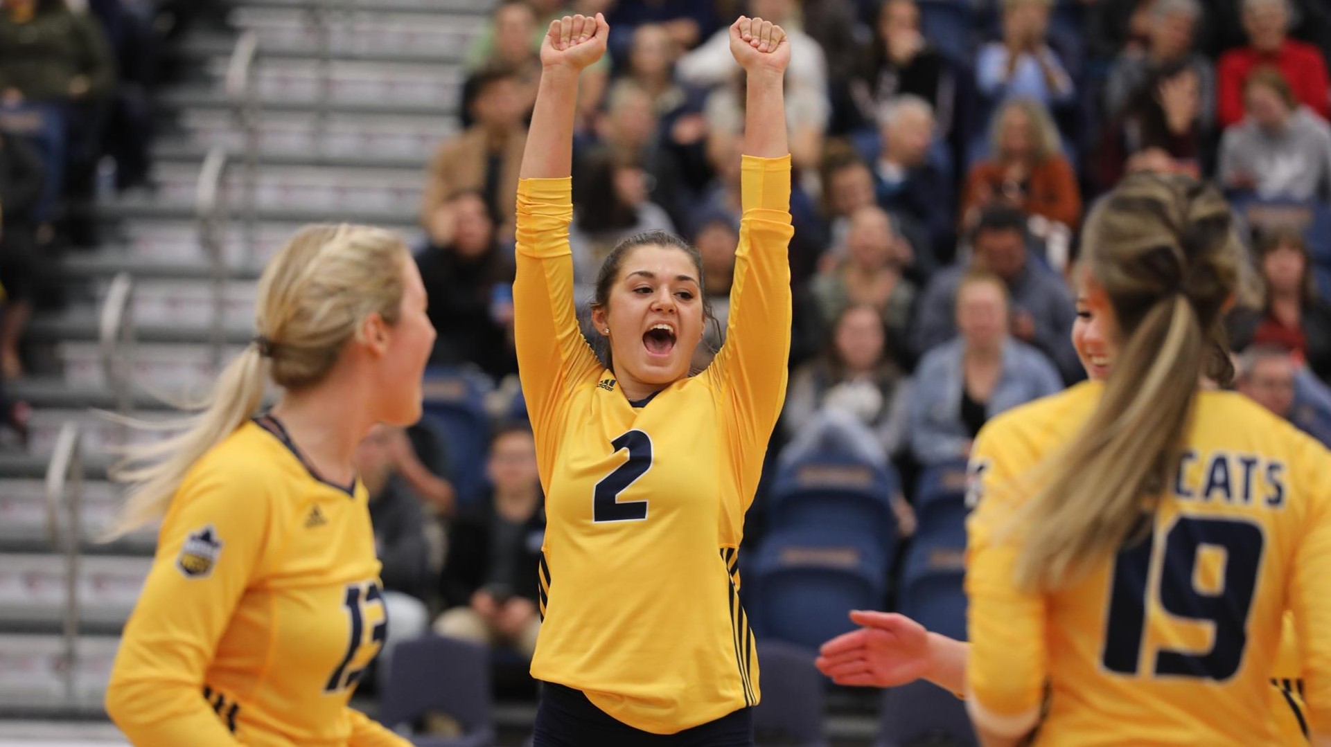 Kier Fey Women's Volleyball Brandon University Athletics
