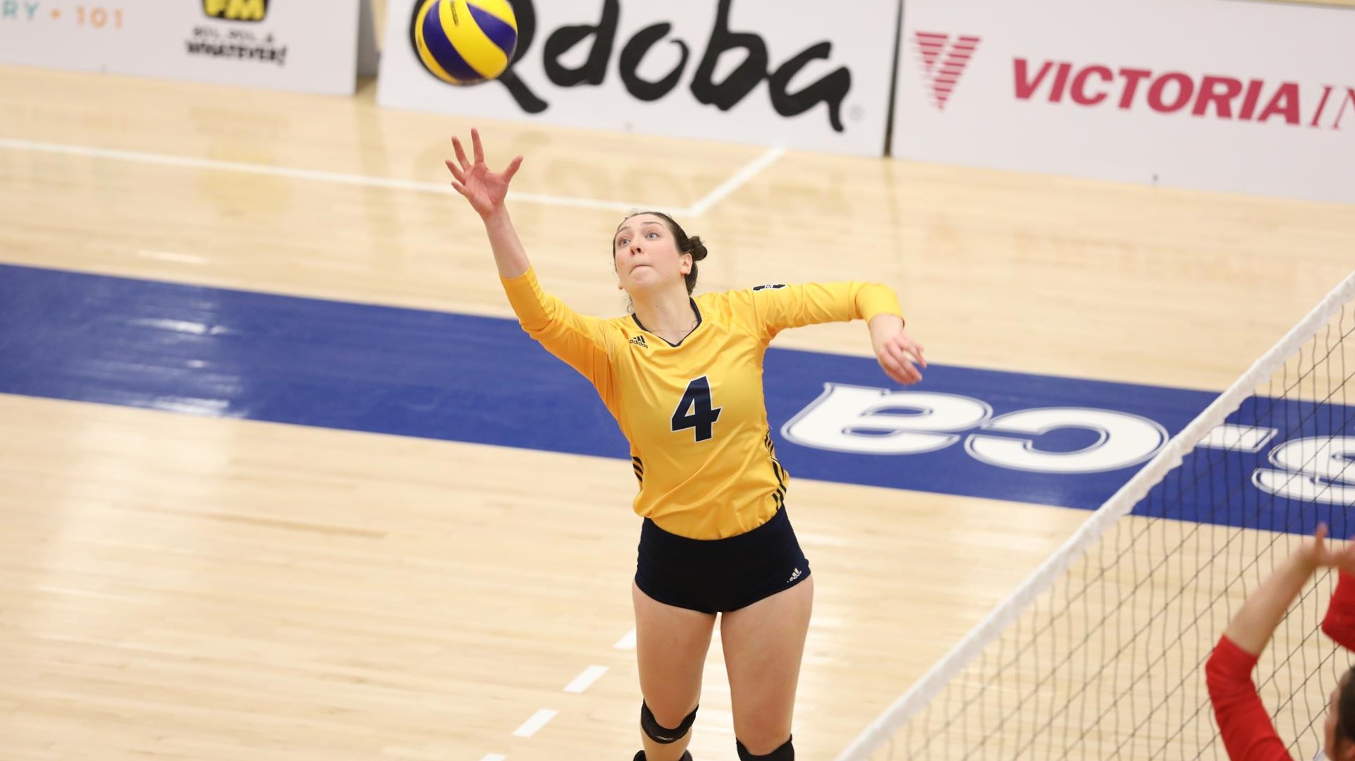 Rayvn Wiebe Women's Volleyball Brandon University Athletics