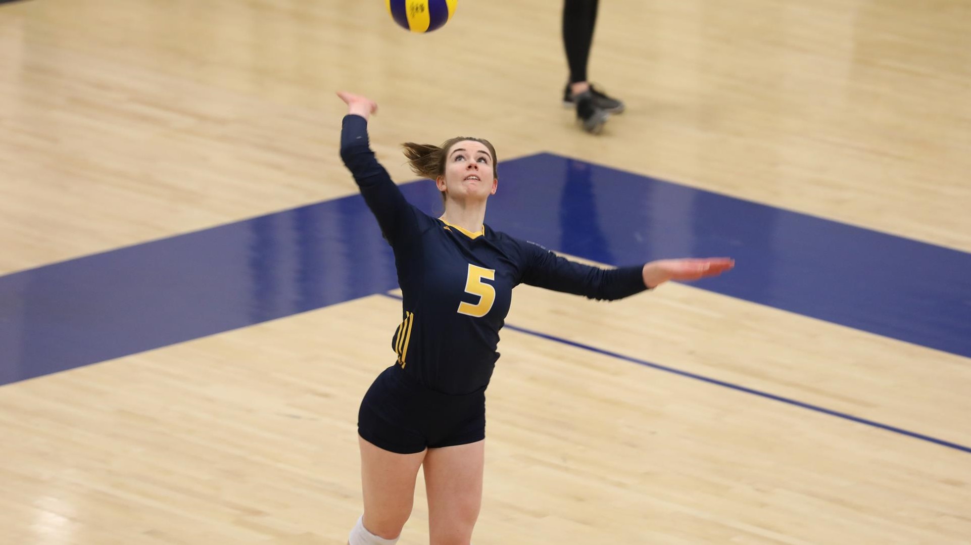 Danielle Larocque Women's Volleyball Brandon University Athletics