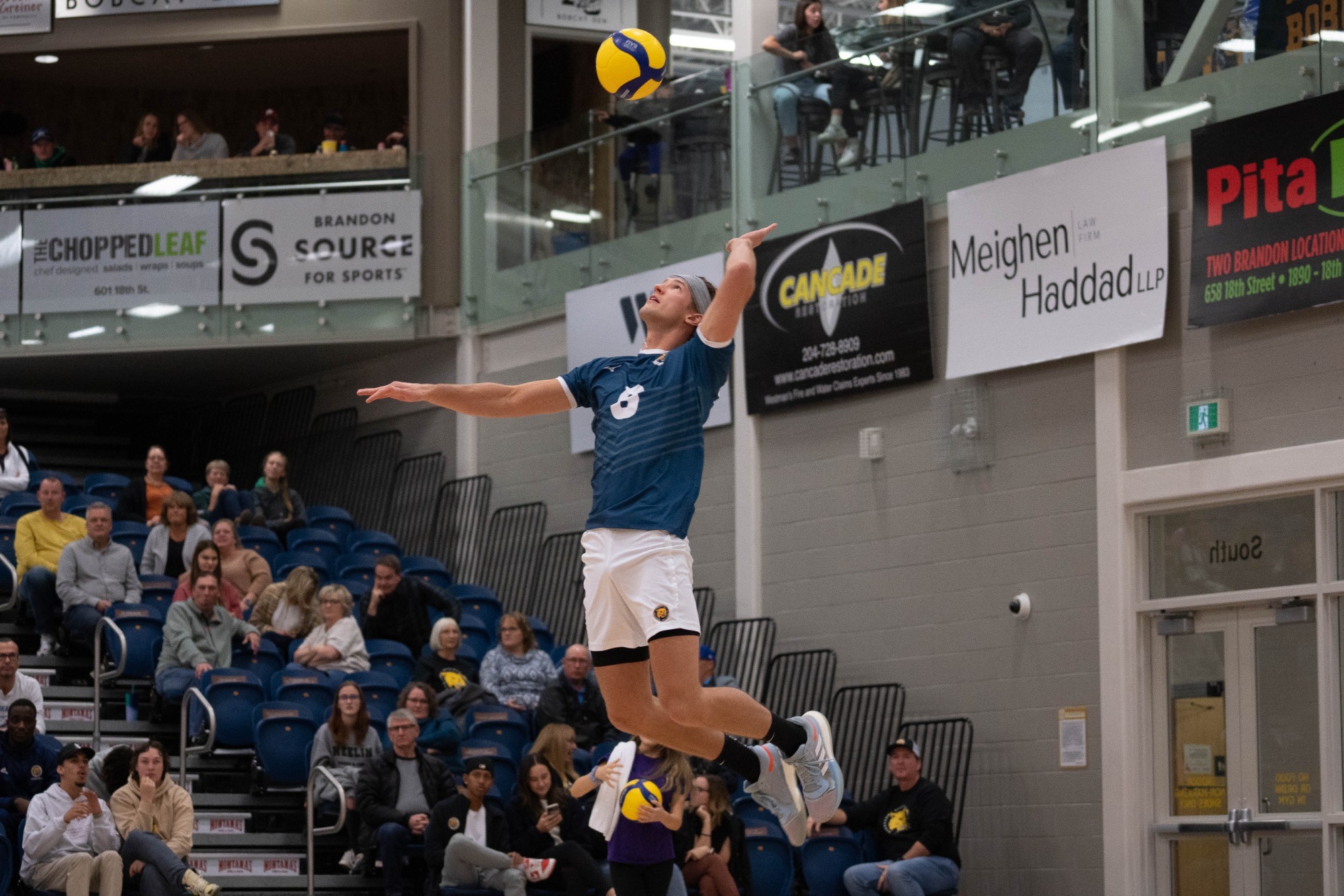 Nigel Tolley Men's Volleyball Brandon University Athletics