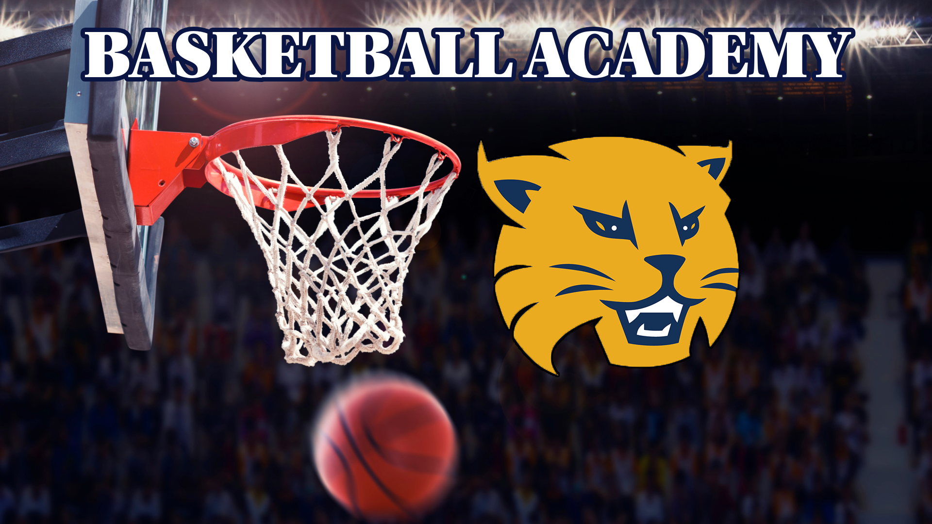 Basketball Academy