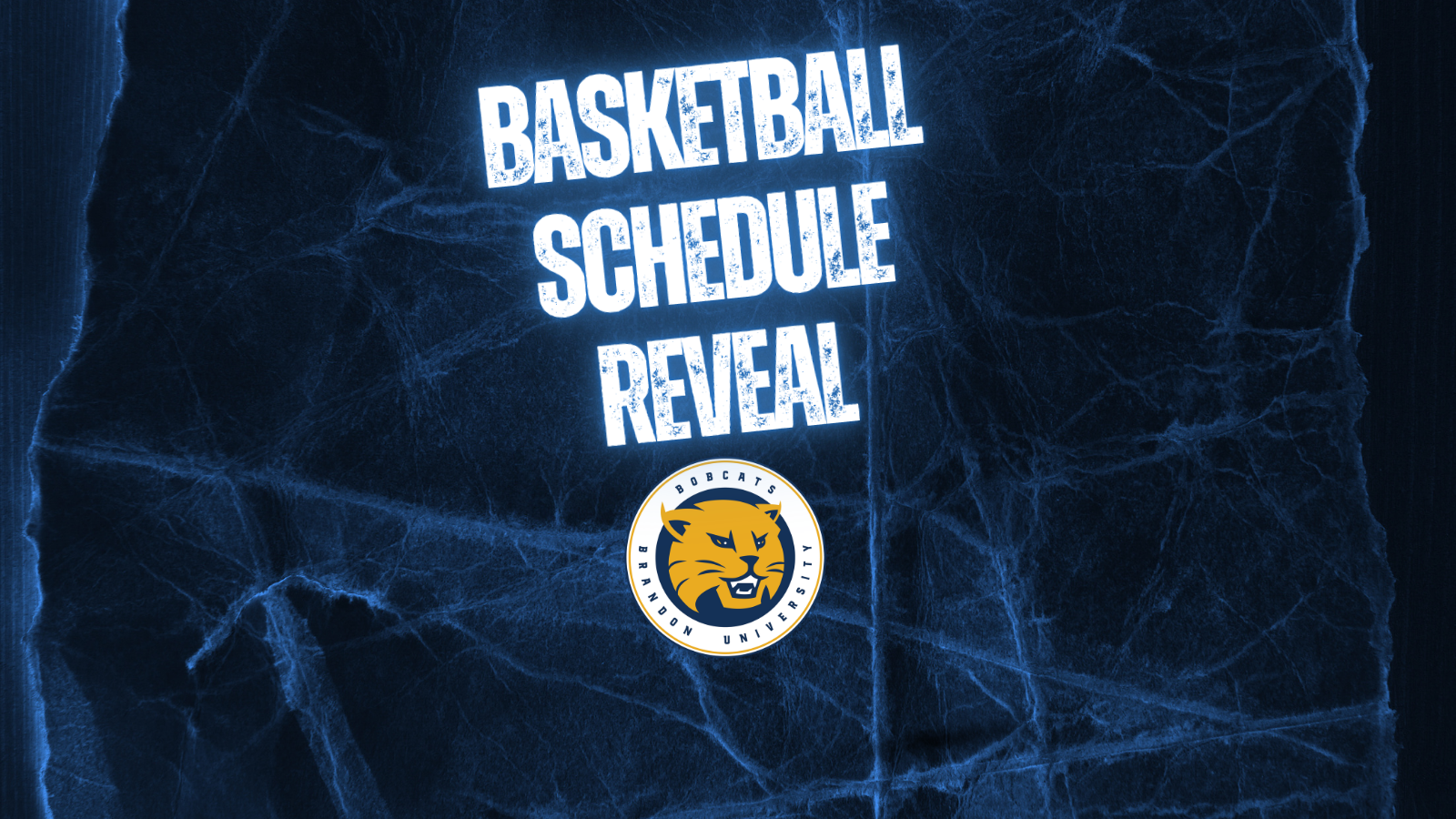 bball teaser