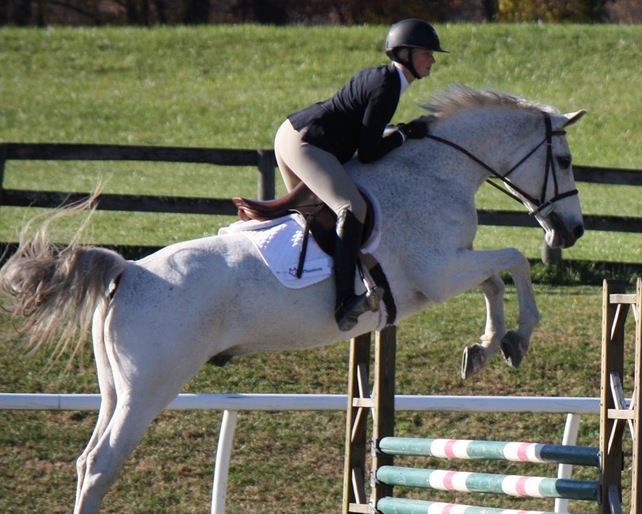 Equestrian Competes at ODACs, Poe and Warren Earn AllConference Honors