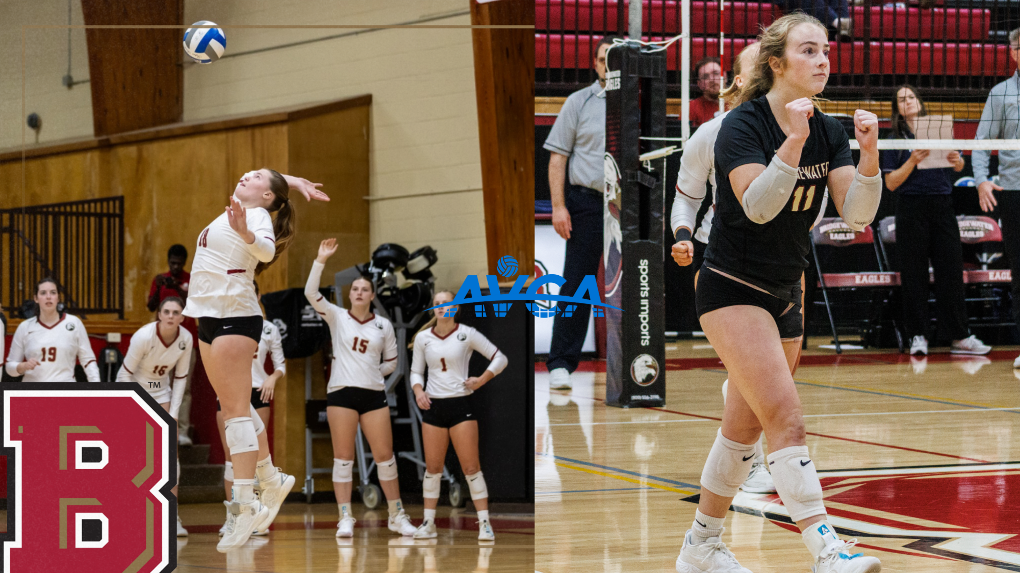 BCWVB All-Region awards 2025