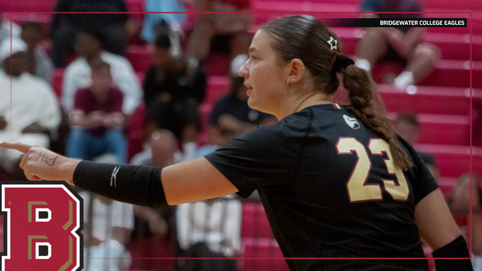 BCWVB AVCA Poll